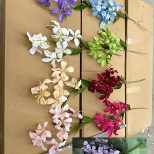 Hoa Ban Rừng Về Thêm