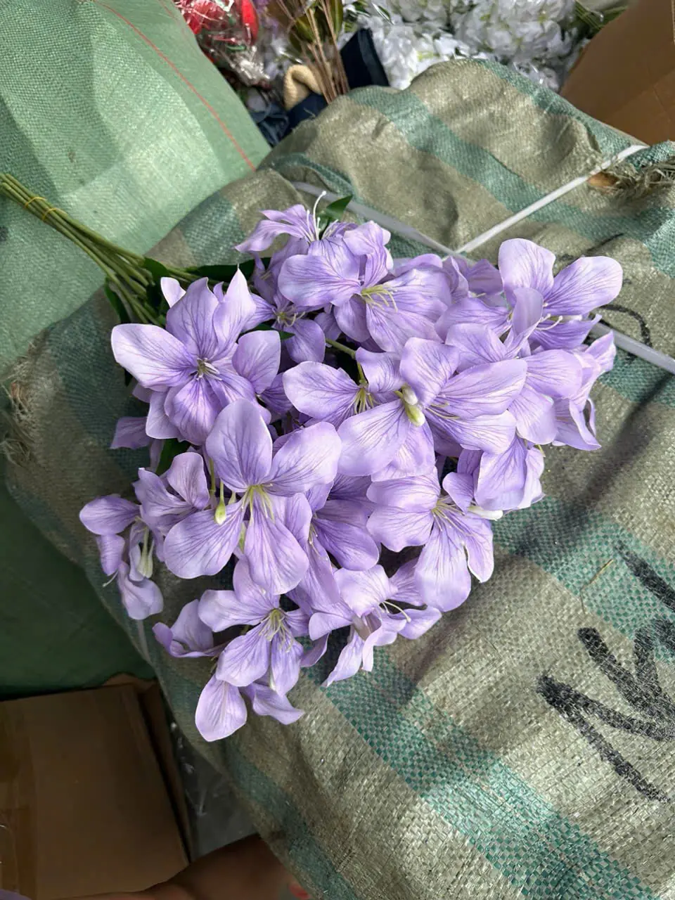 Hoa Ban Rừng Về Thêm - Ảnh 5