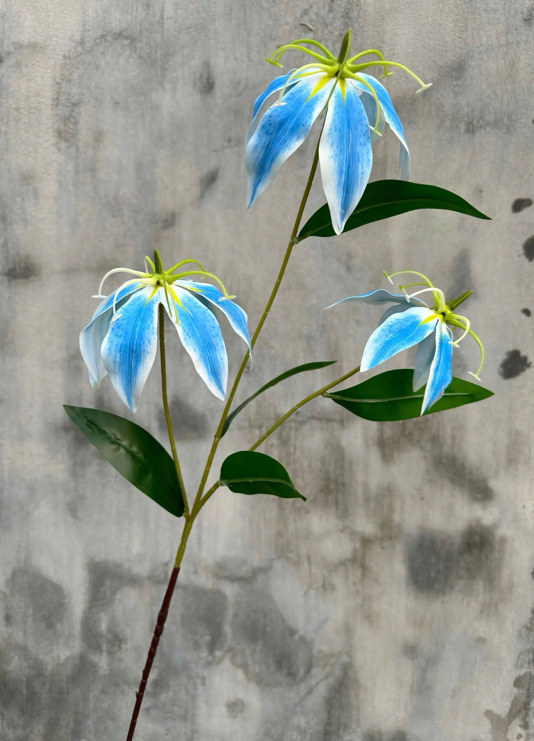 Hoa Bỉ Ngạn Chất Cao Su Dày - Ảnh 3