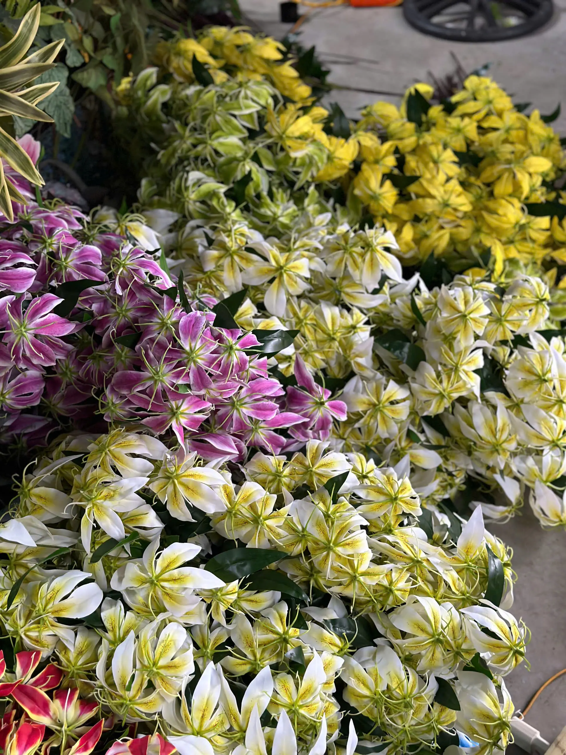 Hoa Bỉ Ngạn Chất Cao Su Dày - Ảnh 6