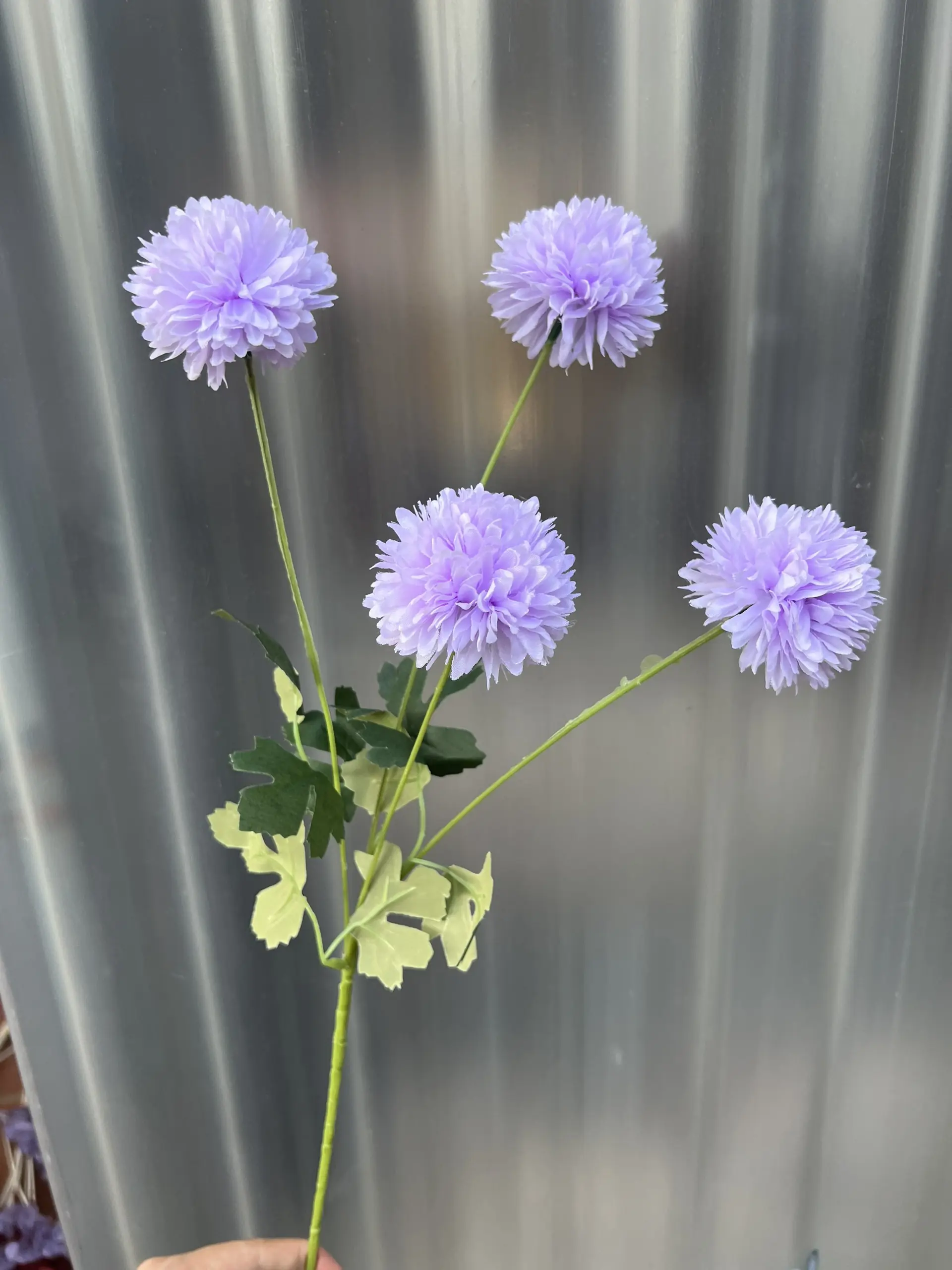 Hoa Bing Bông 4 Bông