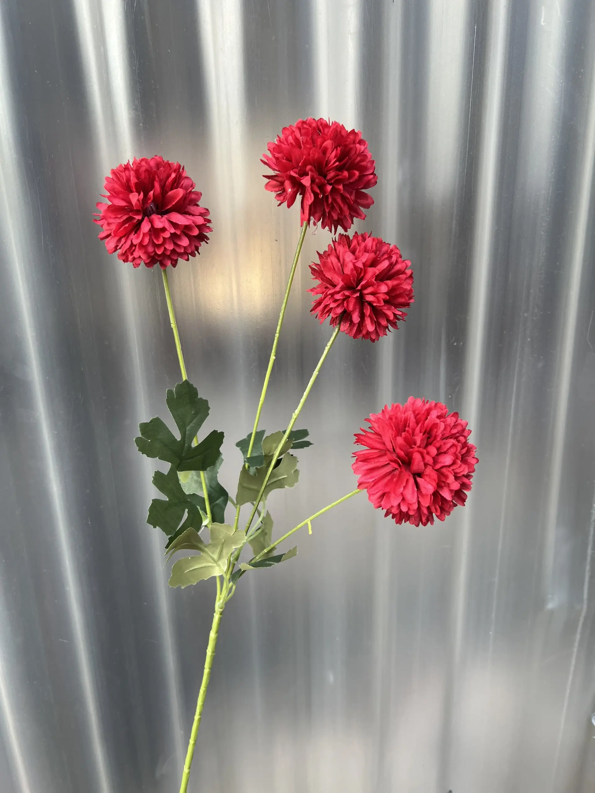 Hoa Bing Bông 4 Bông - Ảnh 2