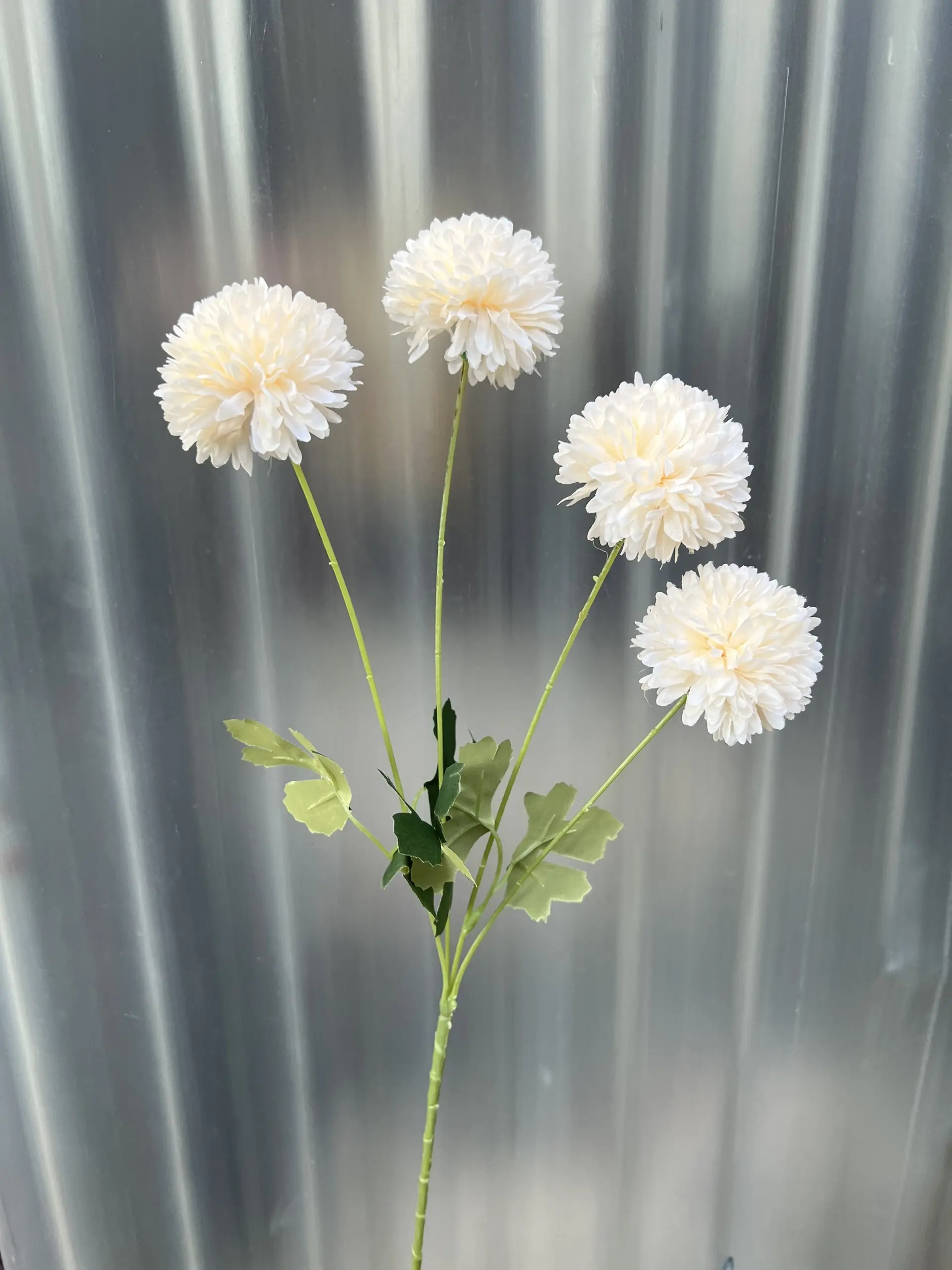 Hoa Bing Bông 4 Bông - Ảnh 4