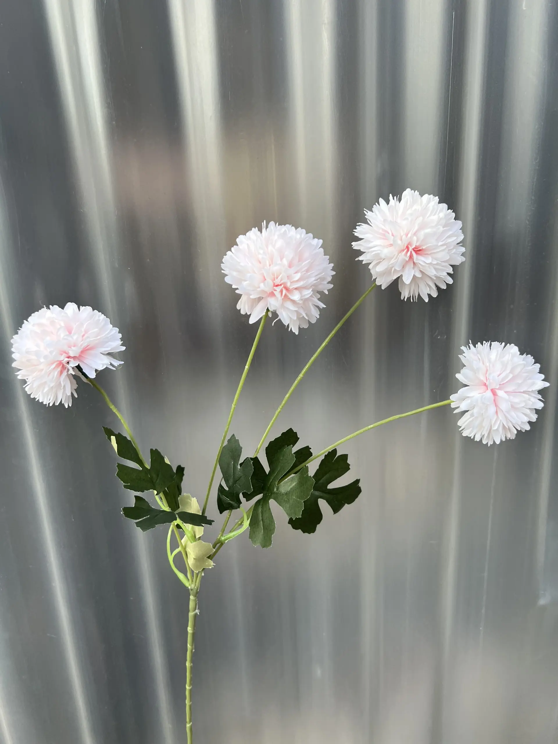 Hoa Bing Bông 4 Bông - Ảnh 6