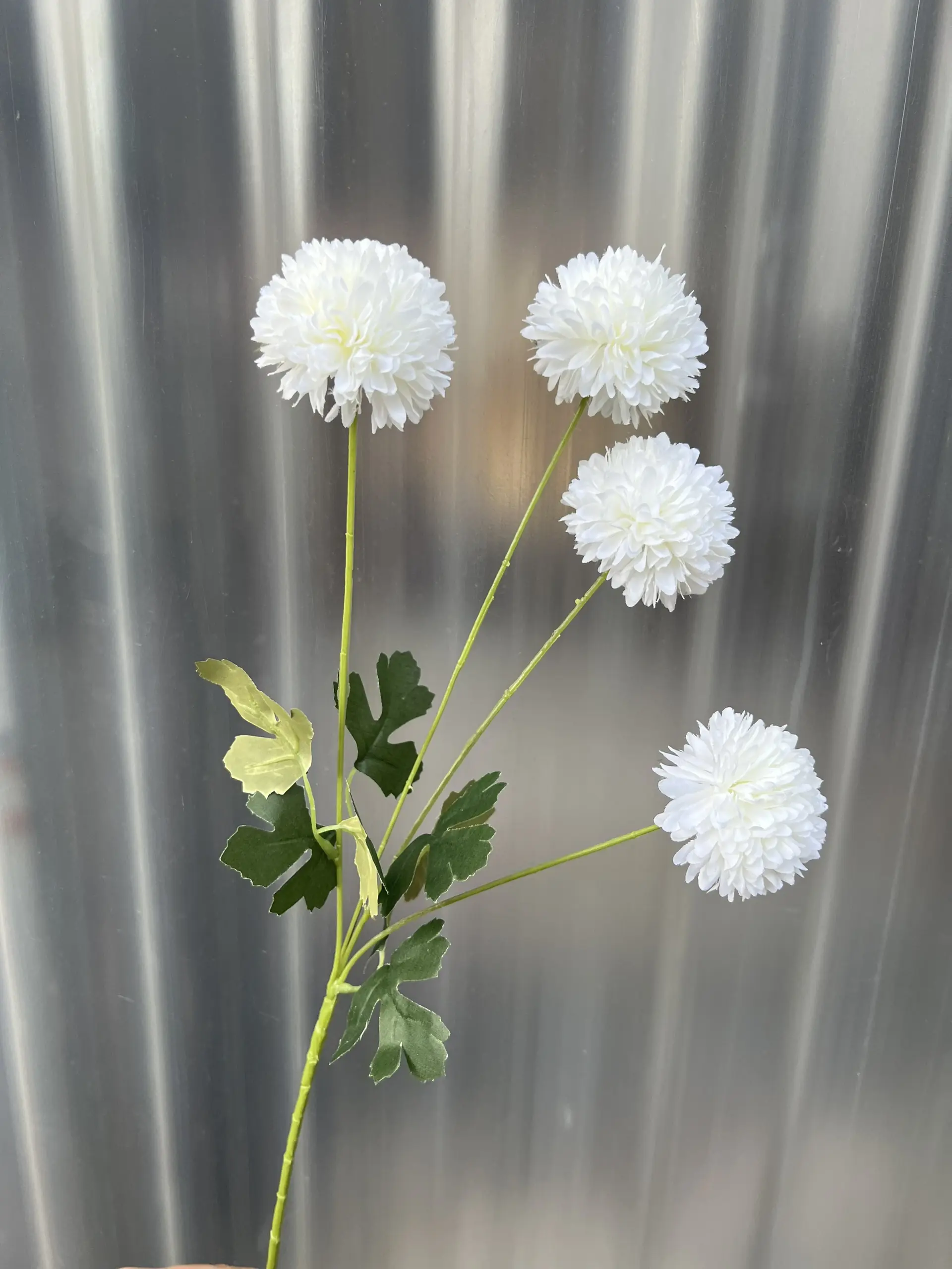 Hoa Bing Bông 4 Bông - Ảnh 7