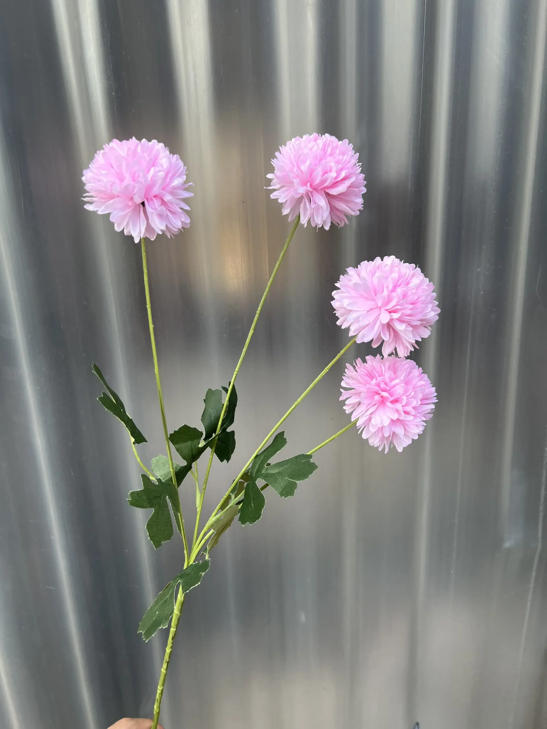 Hoa Bing Bông 4 Bông - Ảnh 8