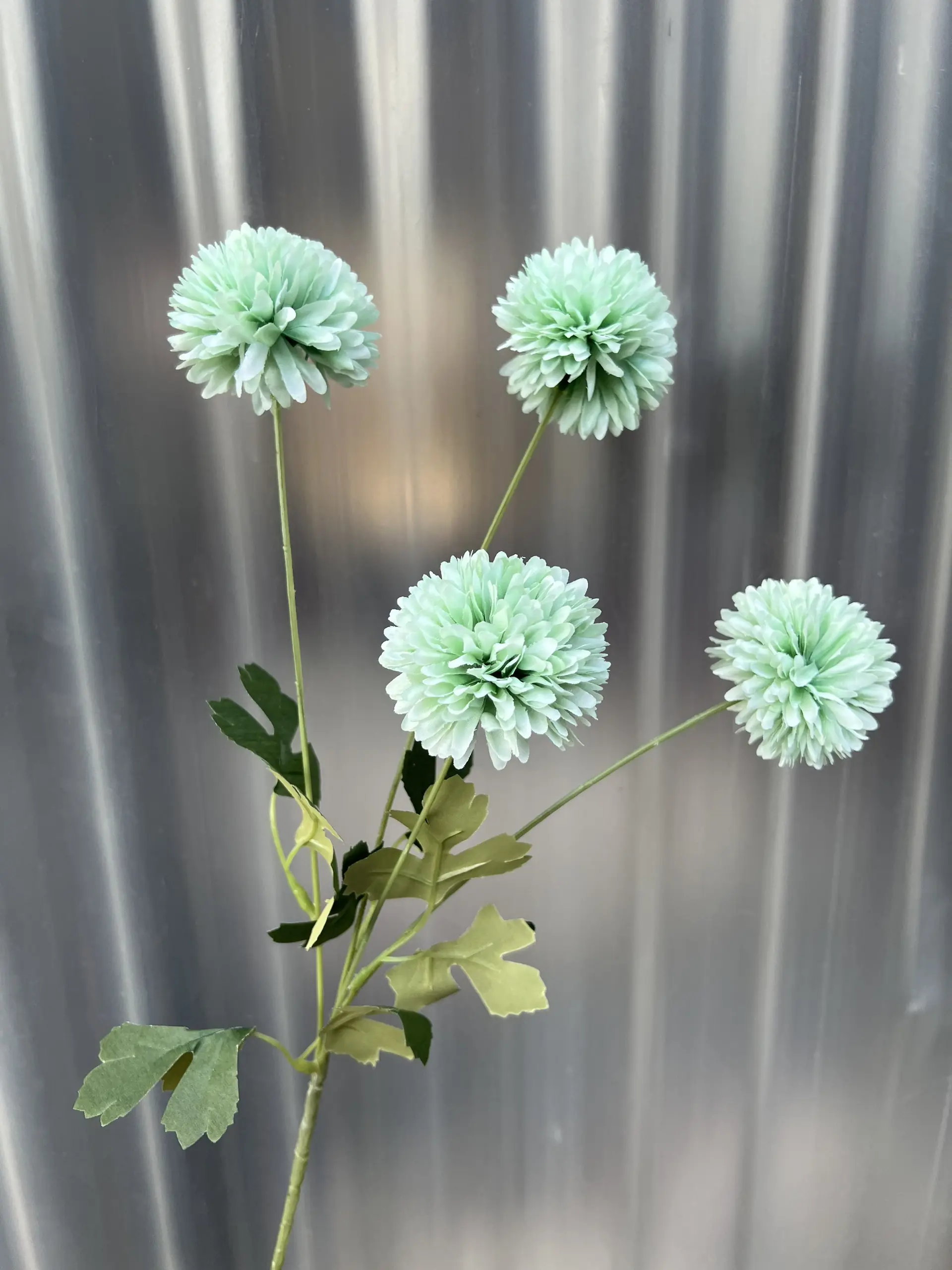 Hoa Bing Bông 4 Bông - Ảnh 9