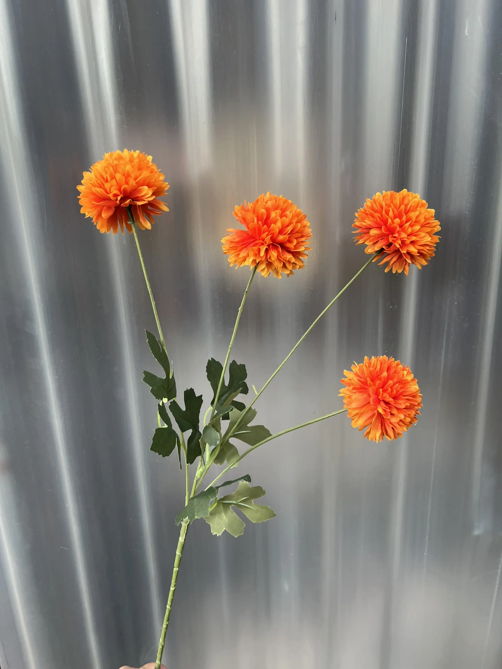 Hoa Bing Bông 4 Bông - Ảnh 11