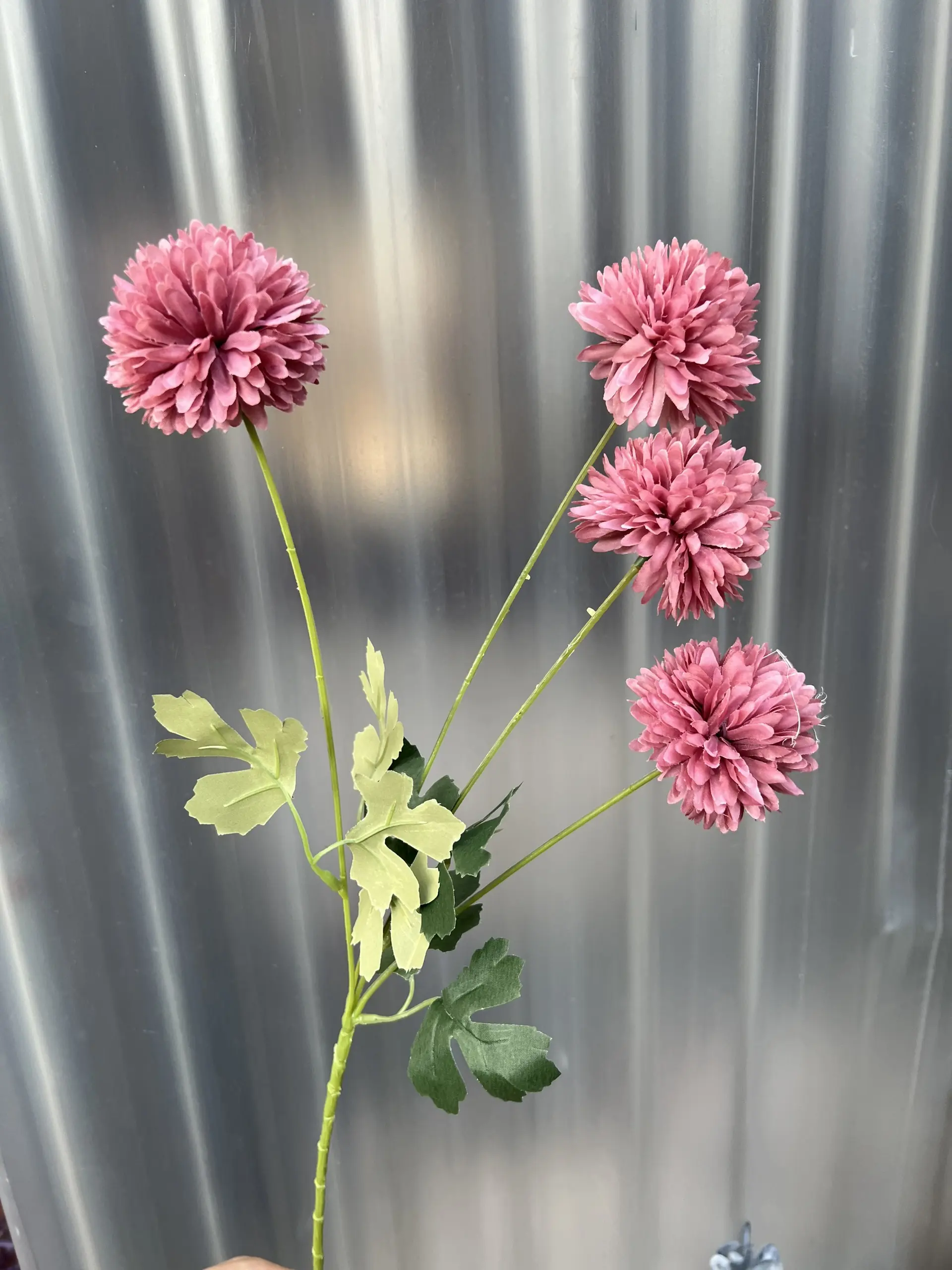 Hoa Bing Bông 4 Bông - Ảnh 12