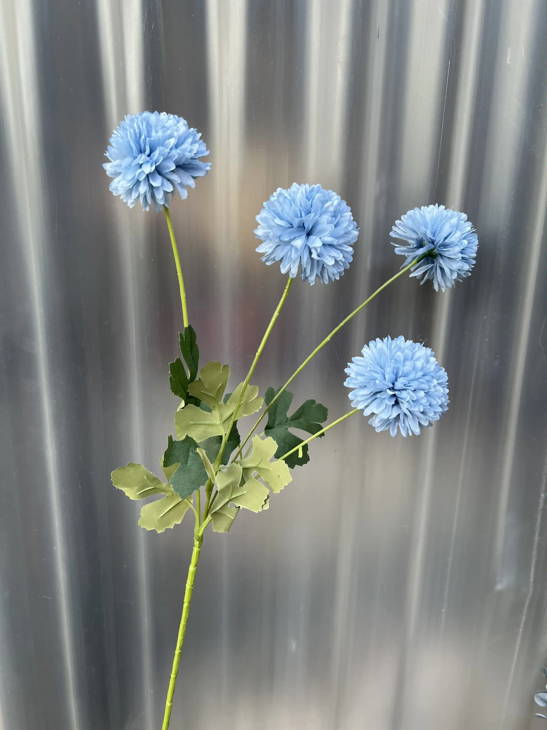 Hoa Bing Bông 4 Bông - Ảnh 13