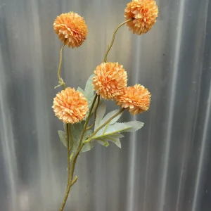 Hoa Bing Bông 5 Bông