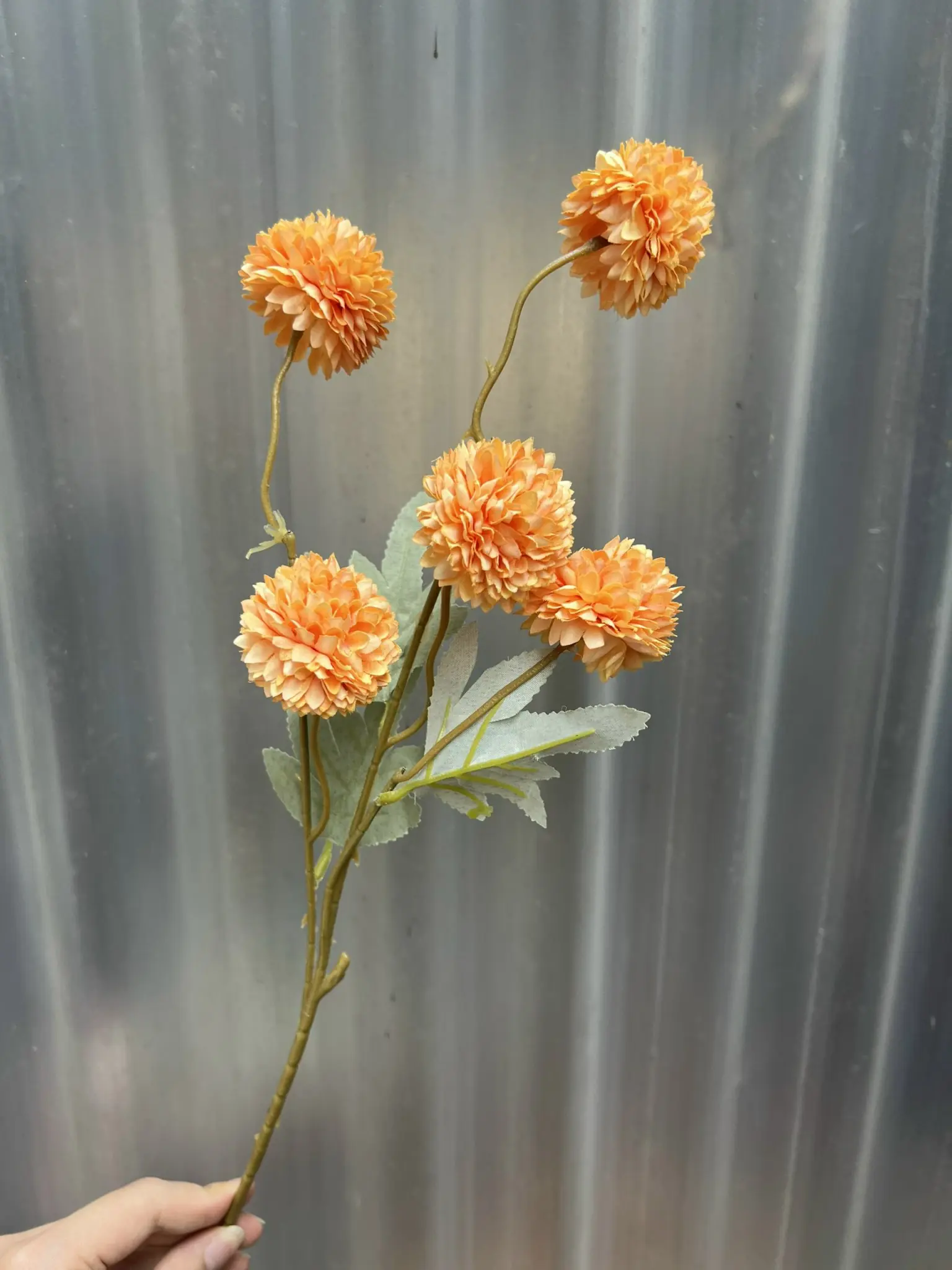 Hoa Bing Bông 5 Bông