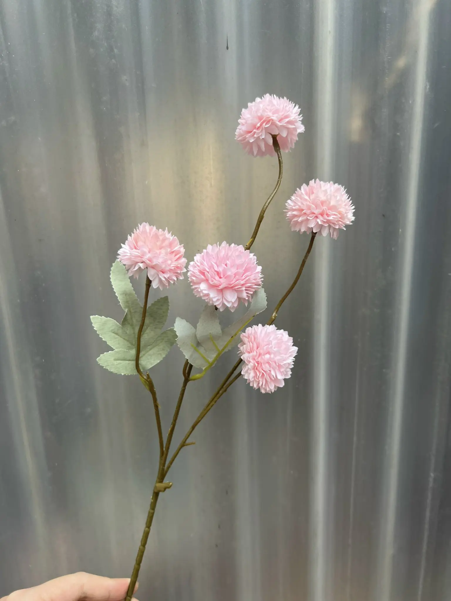 Hoa Bing Bông 5 Bông - Ảnh 2