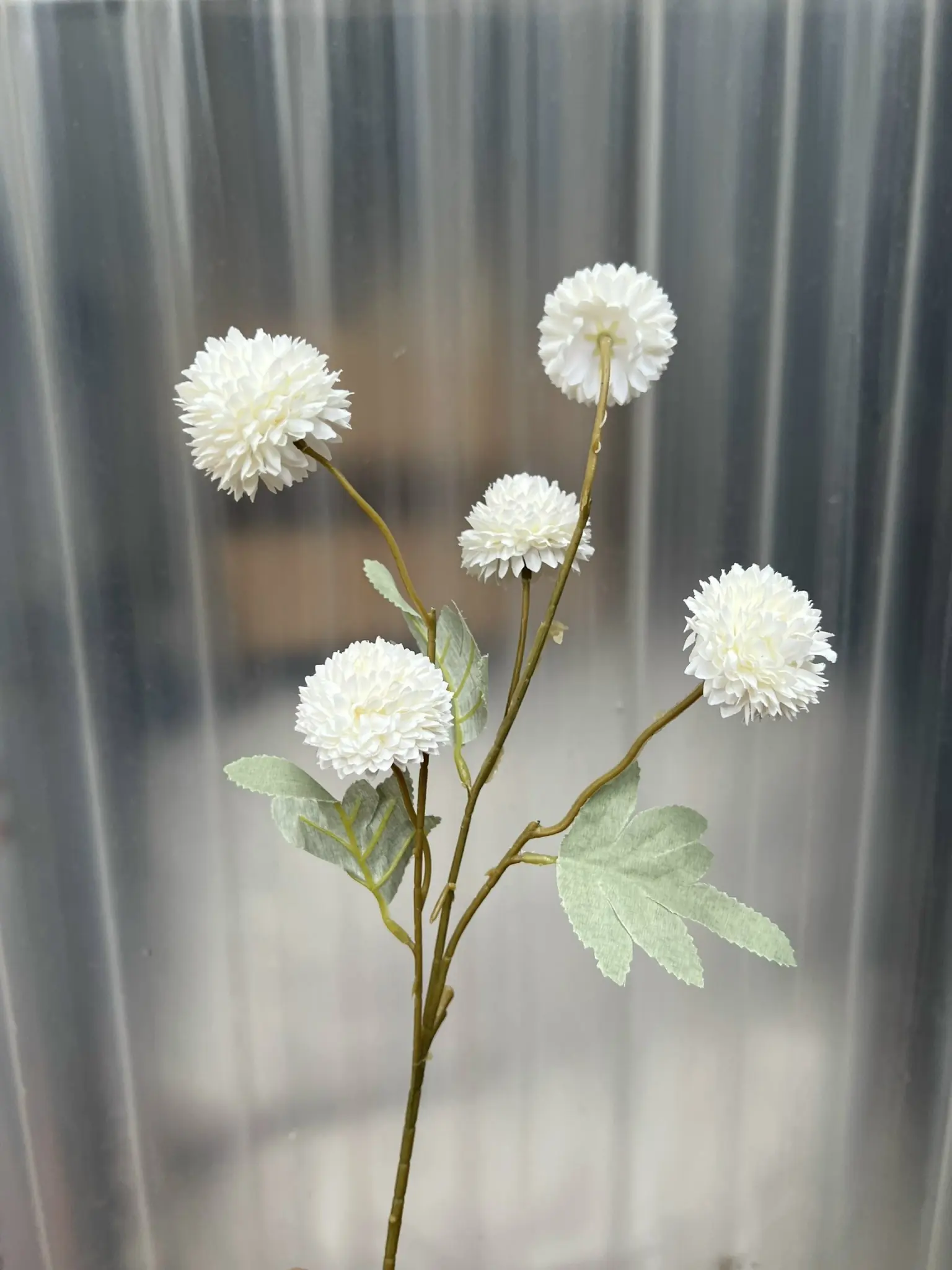 Hoa Bing Bông 5 Bông - Ảnh 4