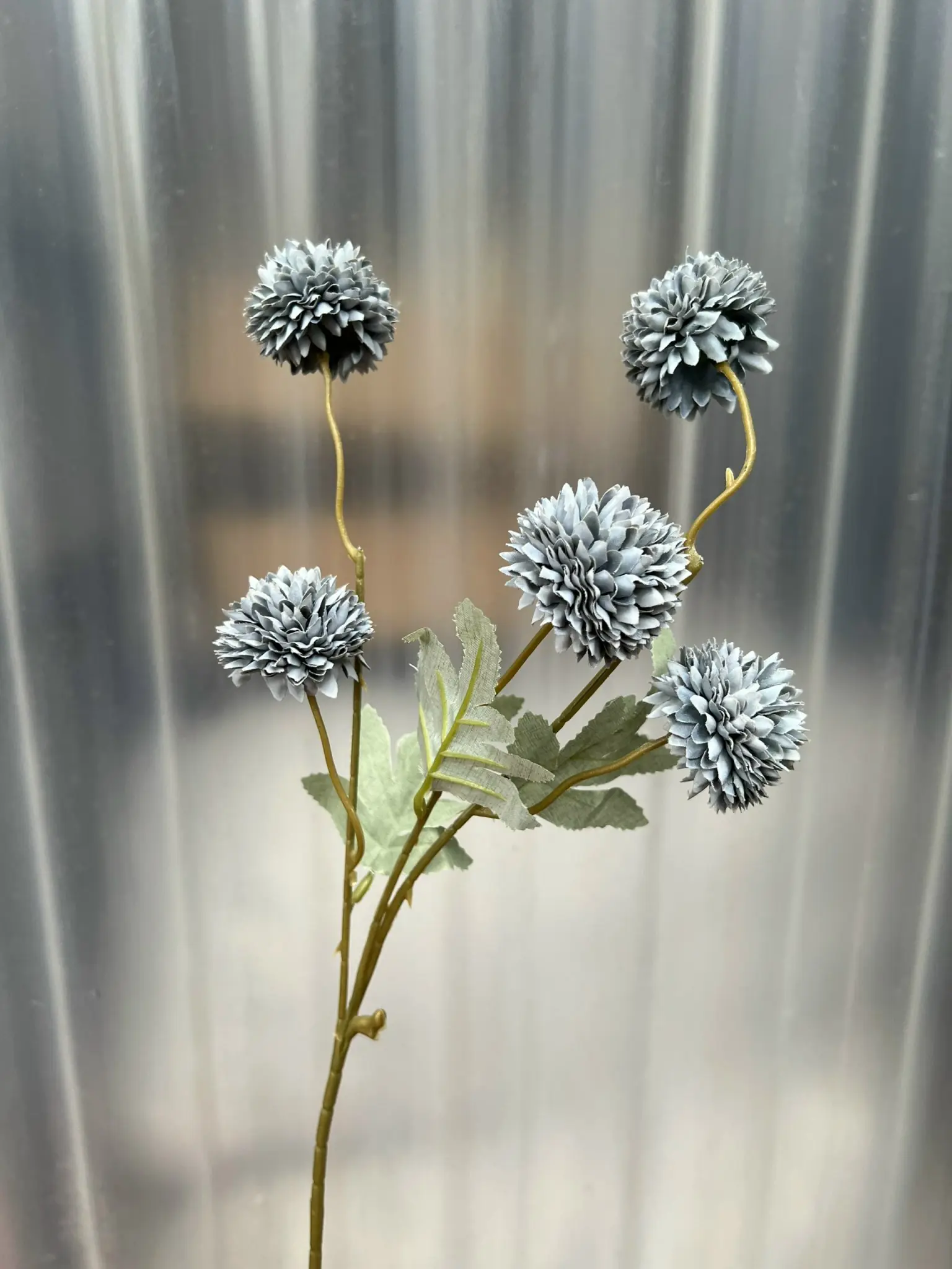 Hoa Bing Bông 5 Bông - Ảnh 9