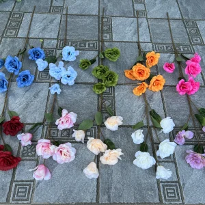 Hoa Cát Tường 5 Bông