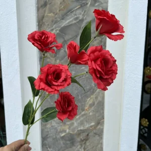 Hoa Cát Tường 6 Bông