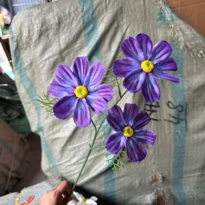 Hoa Cúc Daisy Thân Trơn 3 Bông