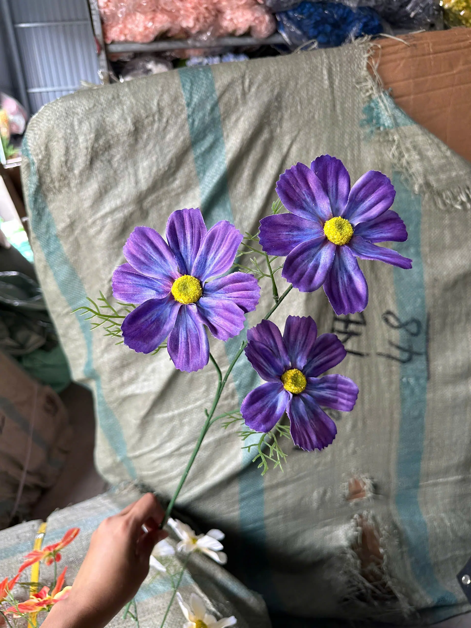 Hoa Cúc Daisy Thân Trơn 3 Bông