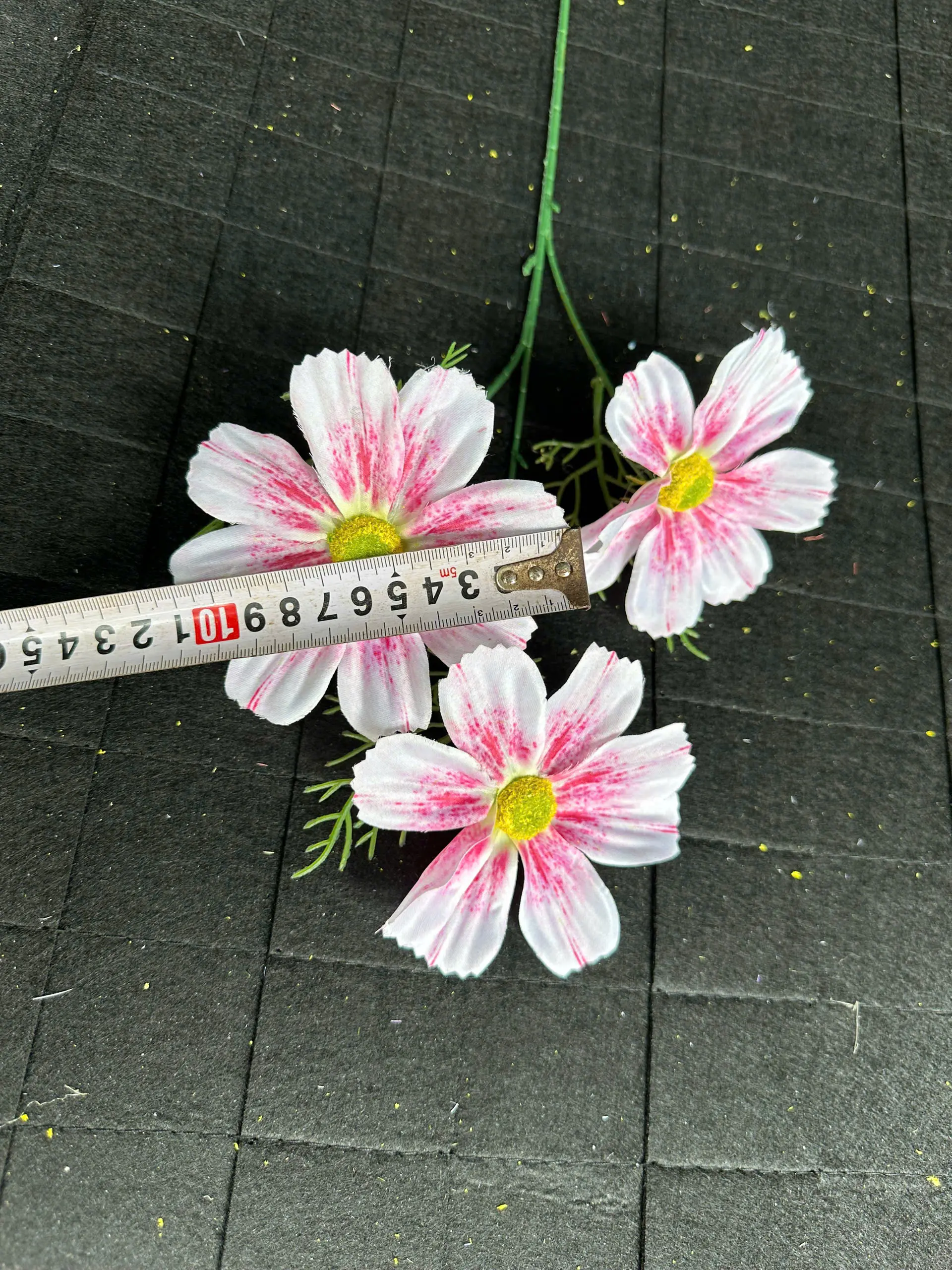 Hoa Cúc Daisy Thân Trơn 3 Bông - Ảnh 7