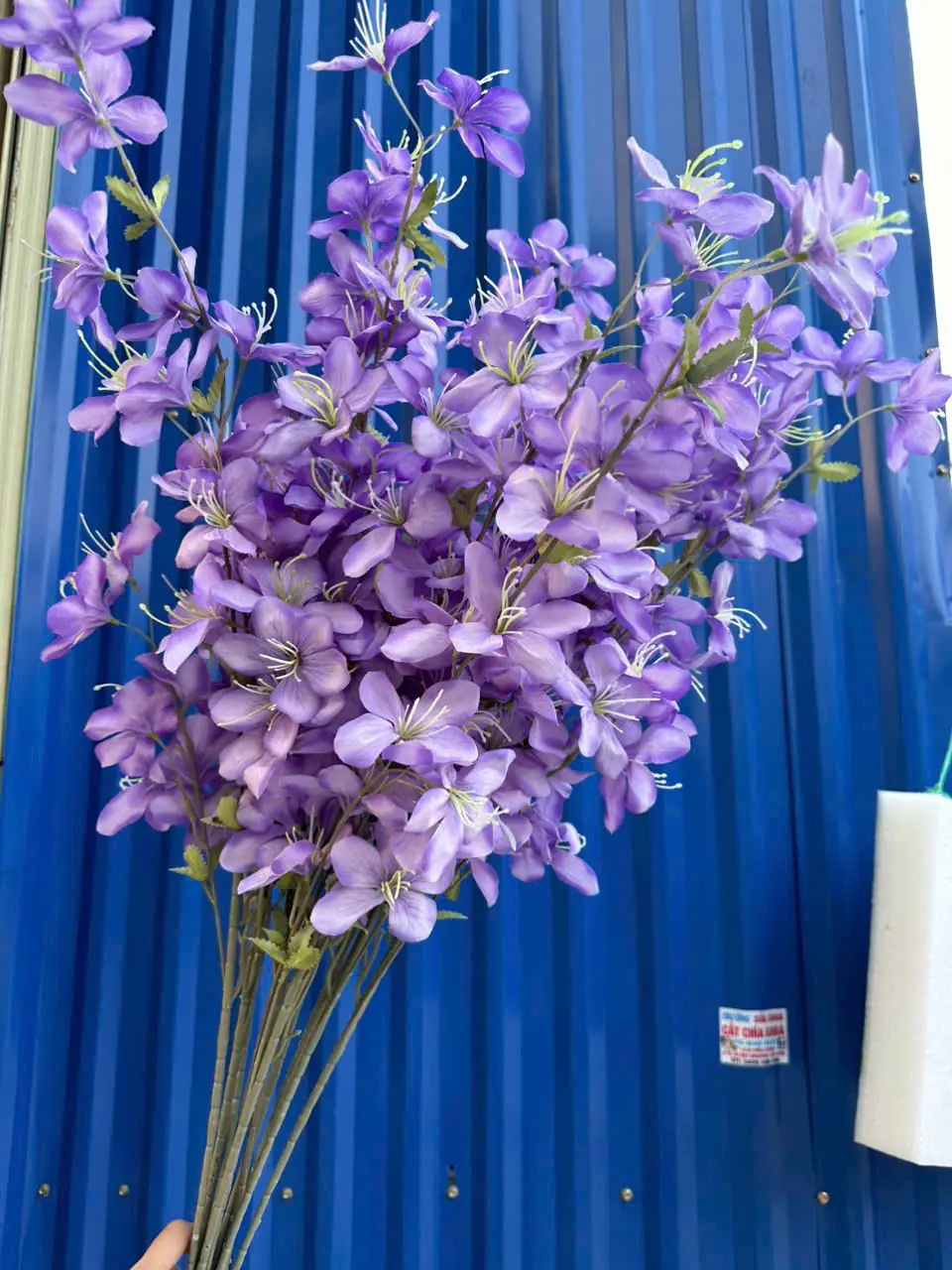 Hoa Hải Đường 3 Nhánh - Ảnh 3