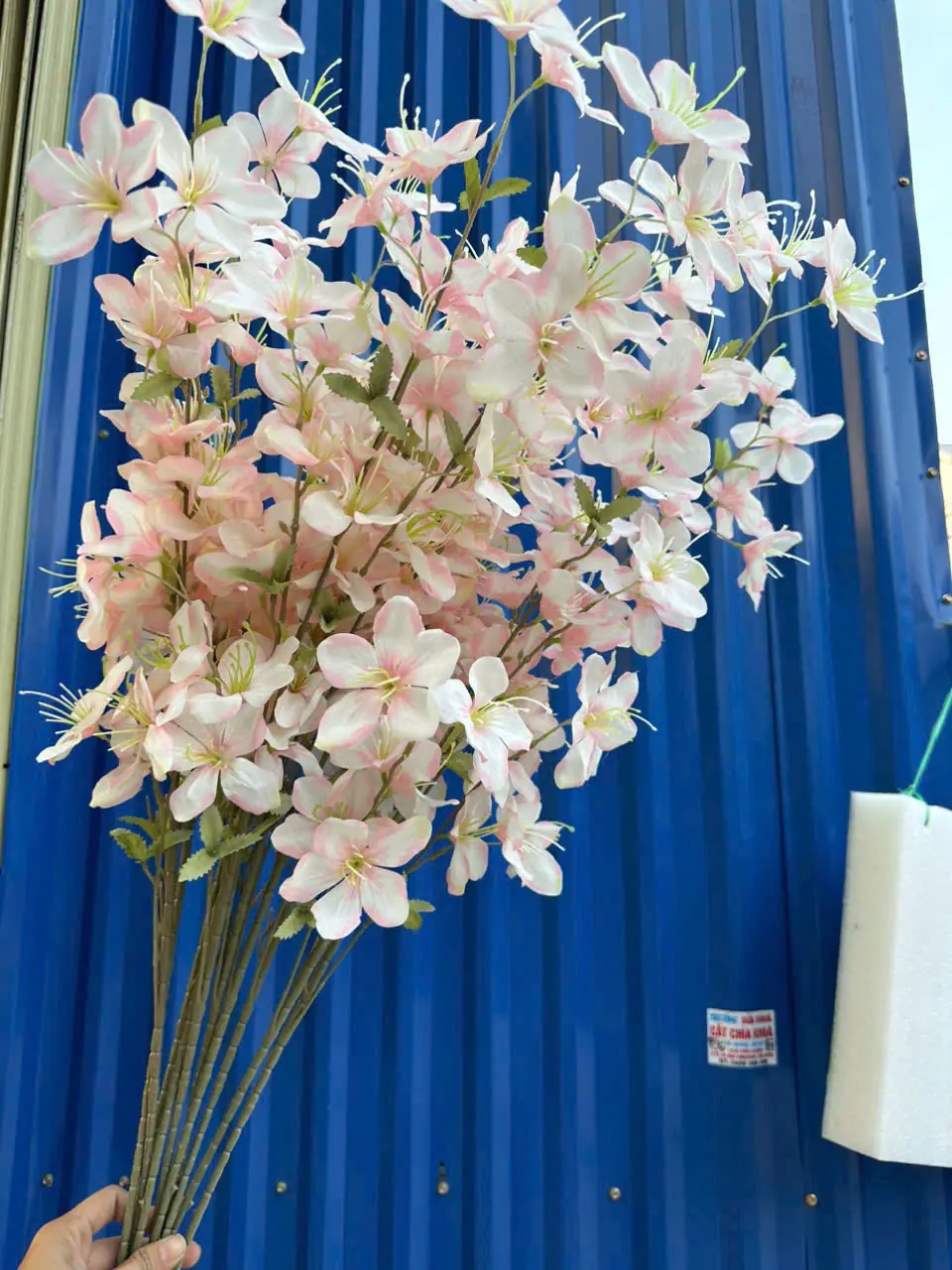 Hoa Hải Đường 3 Nhánh - Ảnh 5