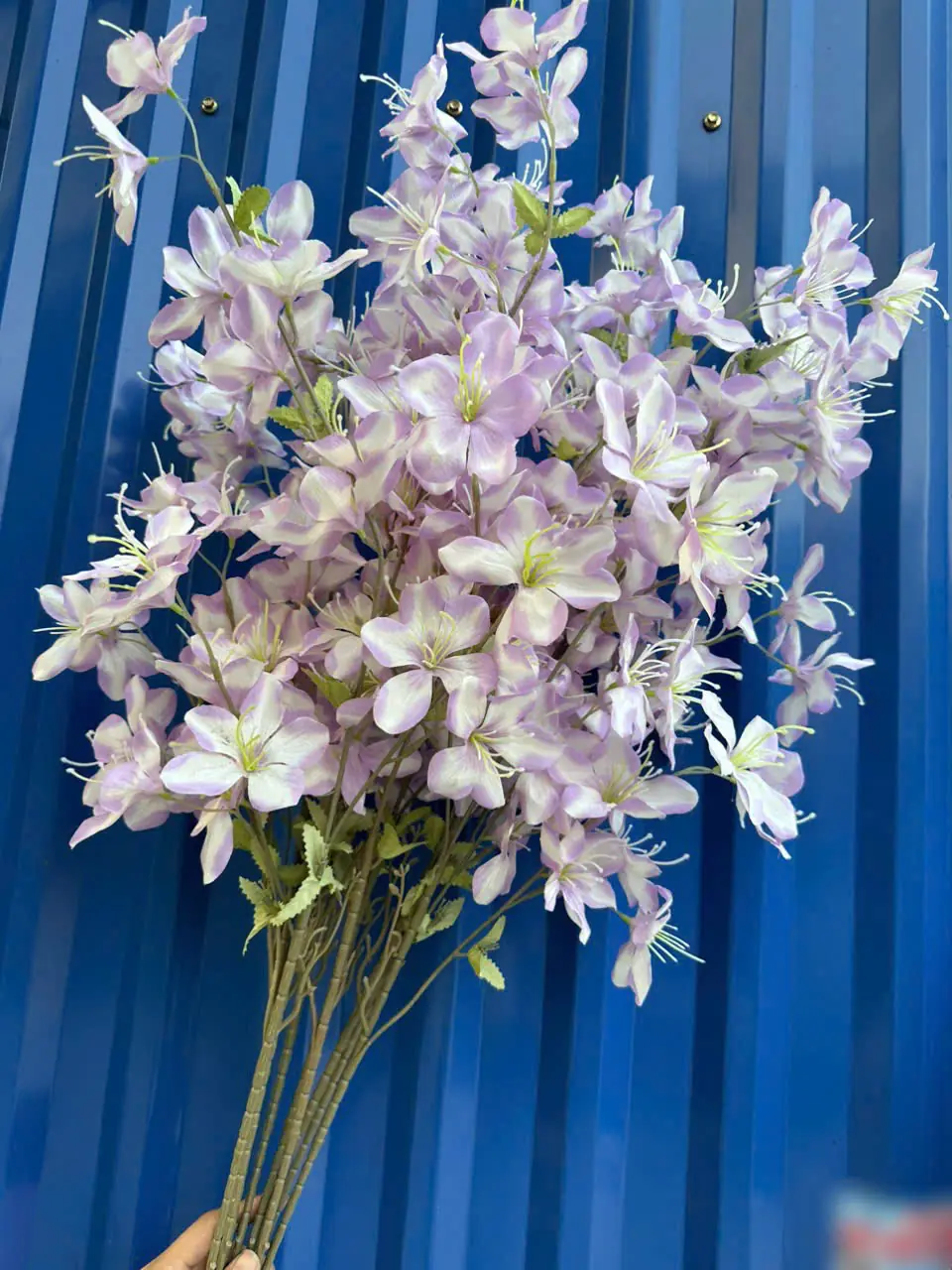 Hoa Hải Đường 3 Nhánh - Ảnh 6