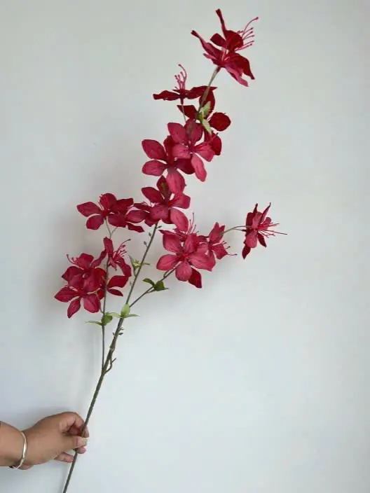 Hoa Hải Đường 3 Nhánh - Ảnh 7