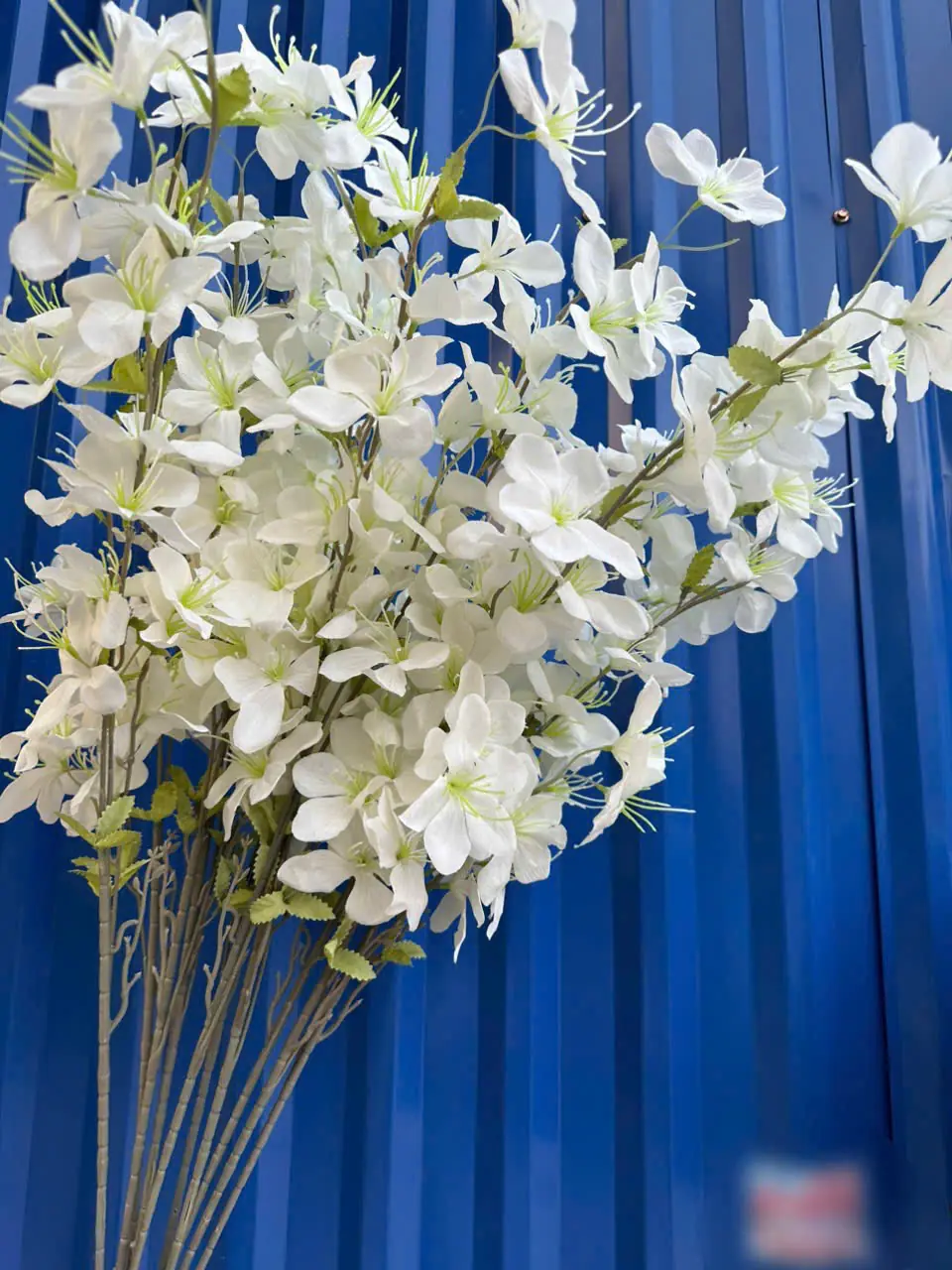 Hoa Hải Đường 3 Nhánh - Ảnh 9