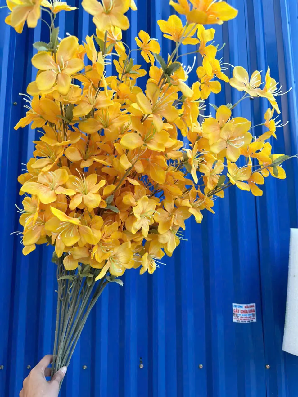 Hoa Hải Đường 3 Nhánh - Ảnh 12