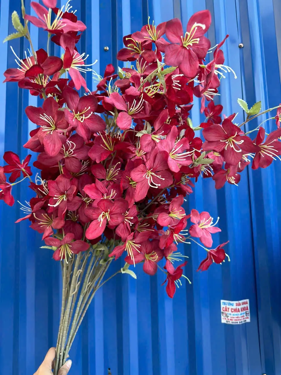 Hoa Hải Đường 3 Nhánh - Ảnh 13