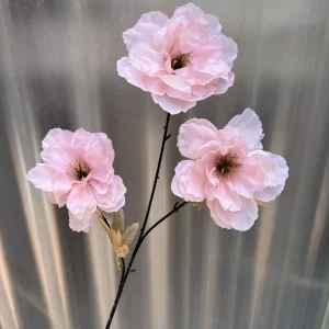 Hoa Hải Quỳ 3 Bông