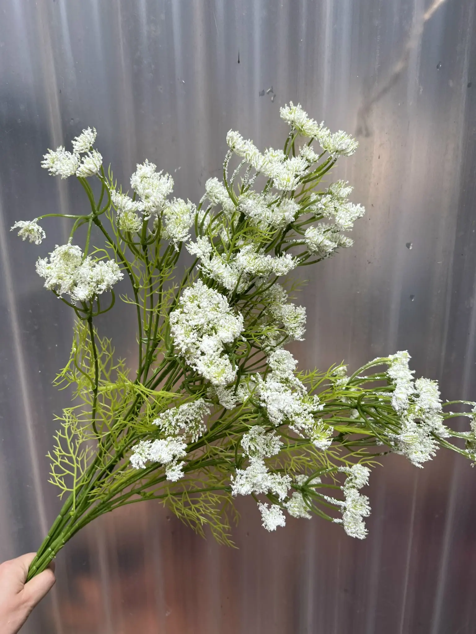 Hoa Hồi Hương - Ảnh 4