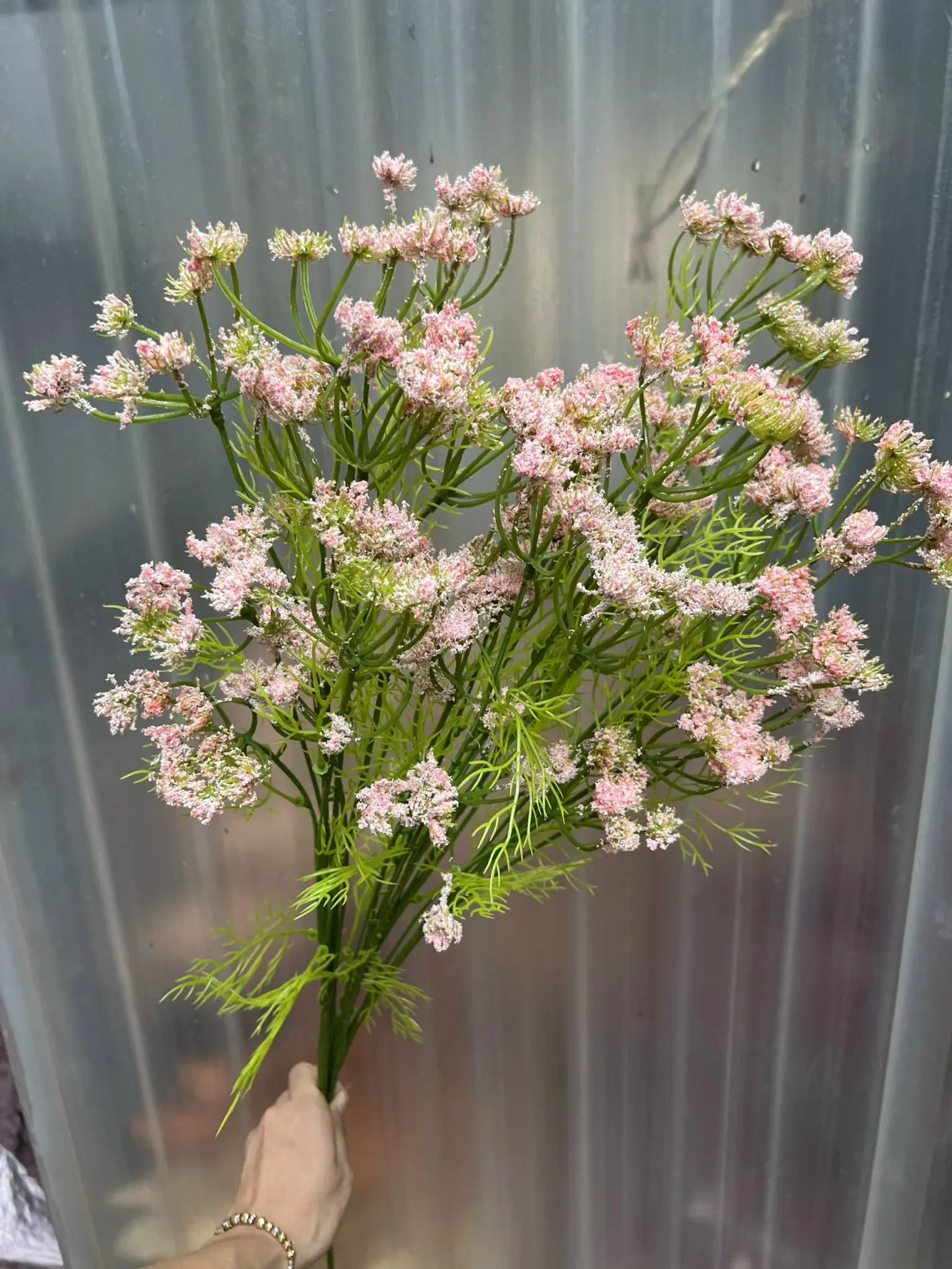 Hoa Hồi Hương - Ảnh 5