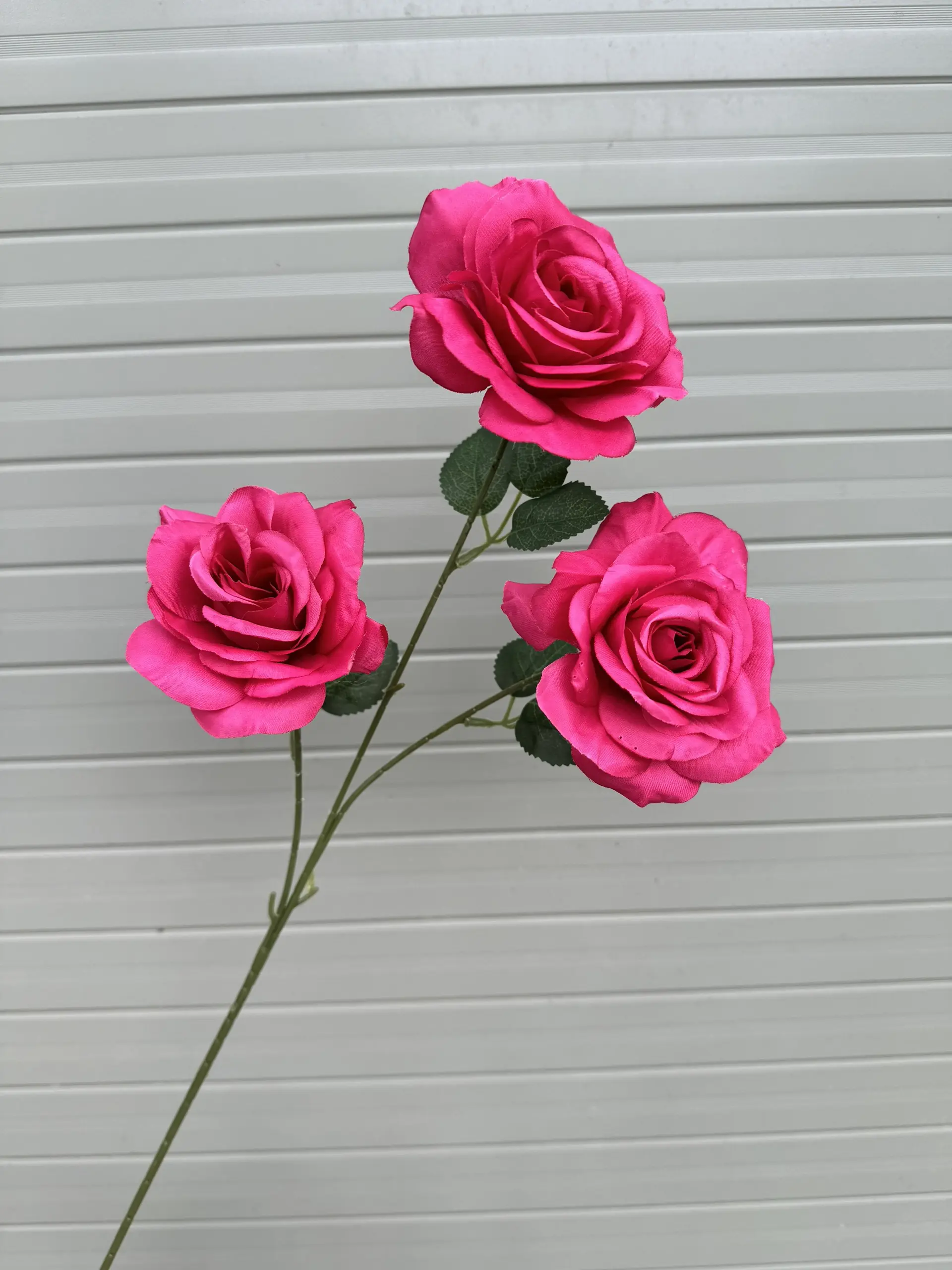 Hoa Hồng 3 Bông - Ảnh 2