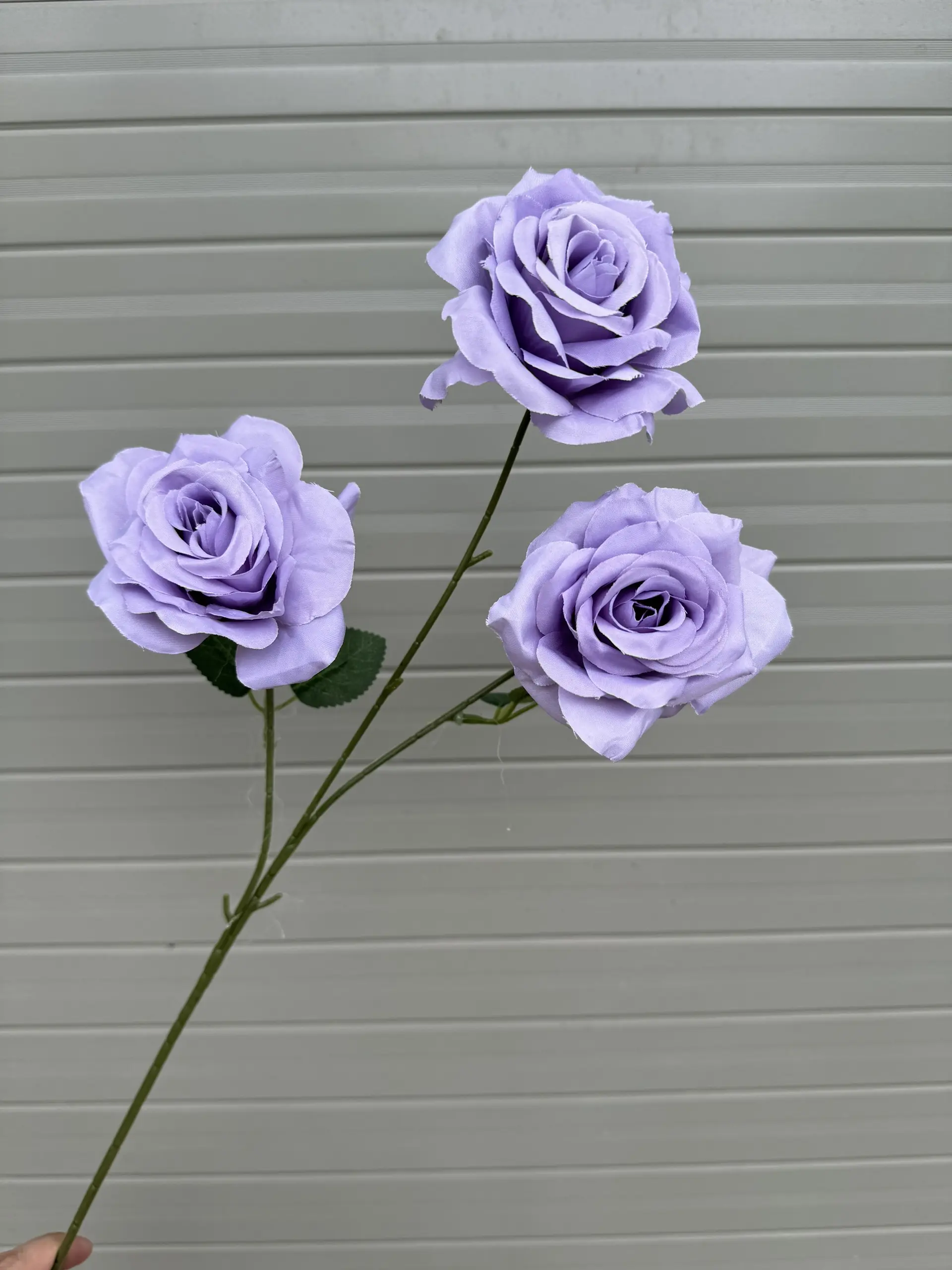 Hoa Hồng 3 Bông - Ảnh 3