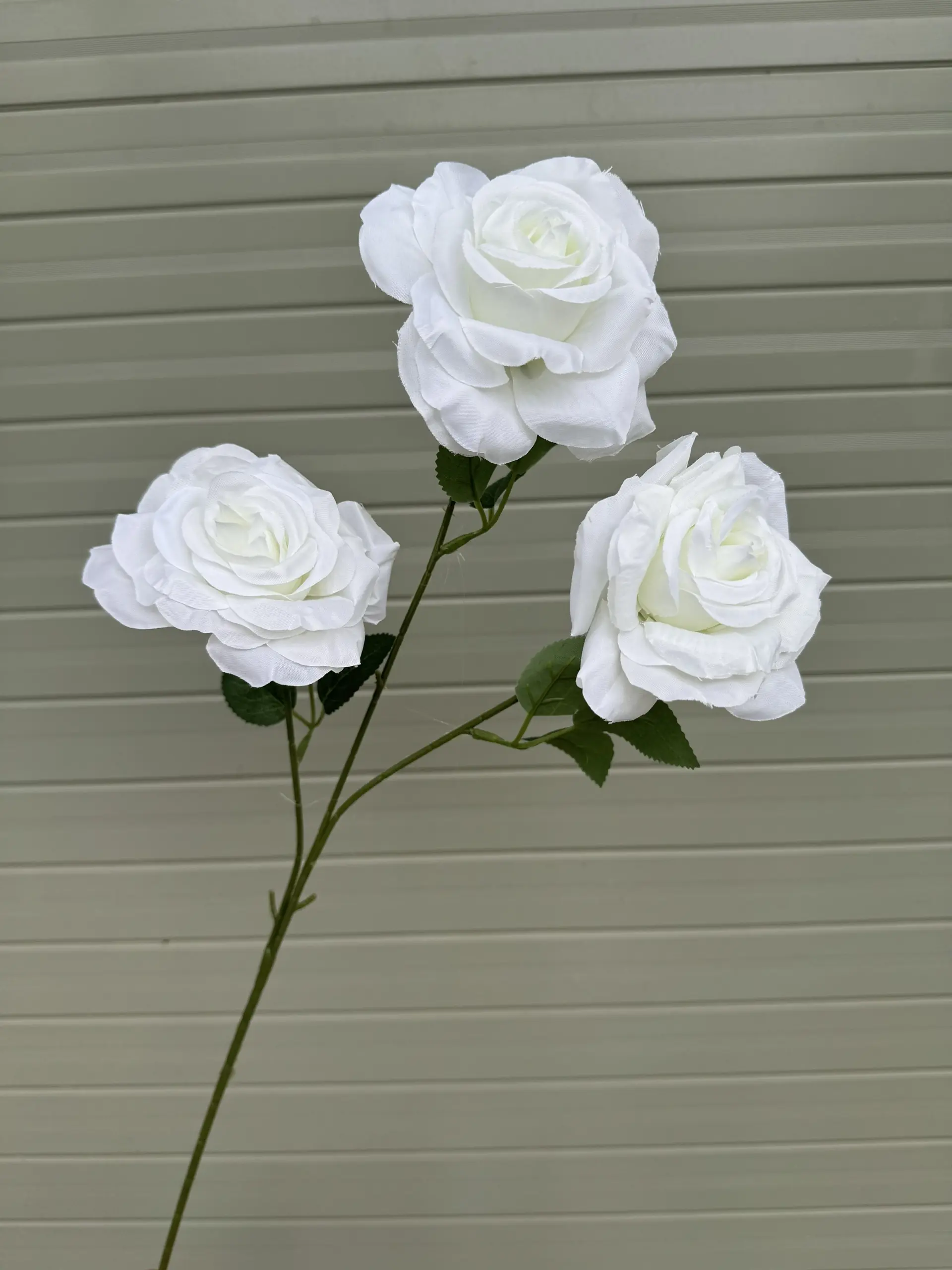 Hoa Hồng 3 Bông - Ảnh 8