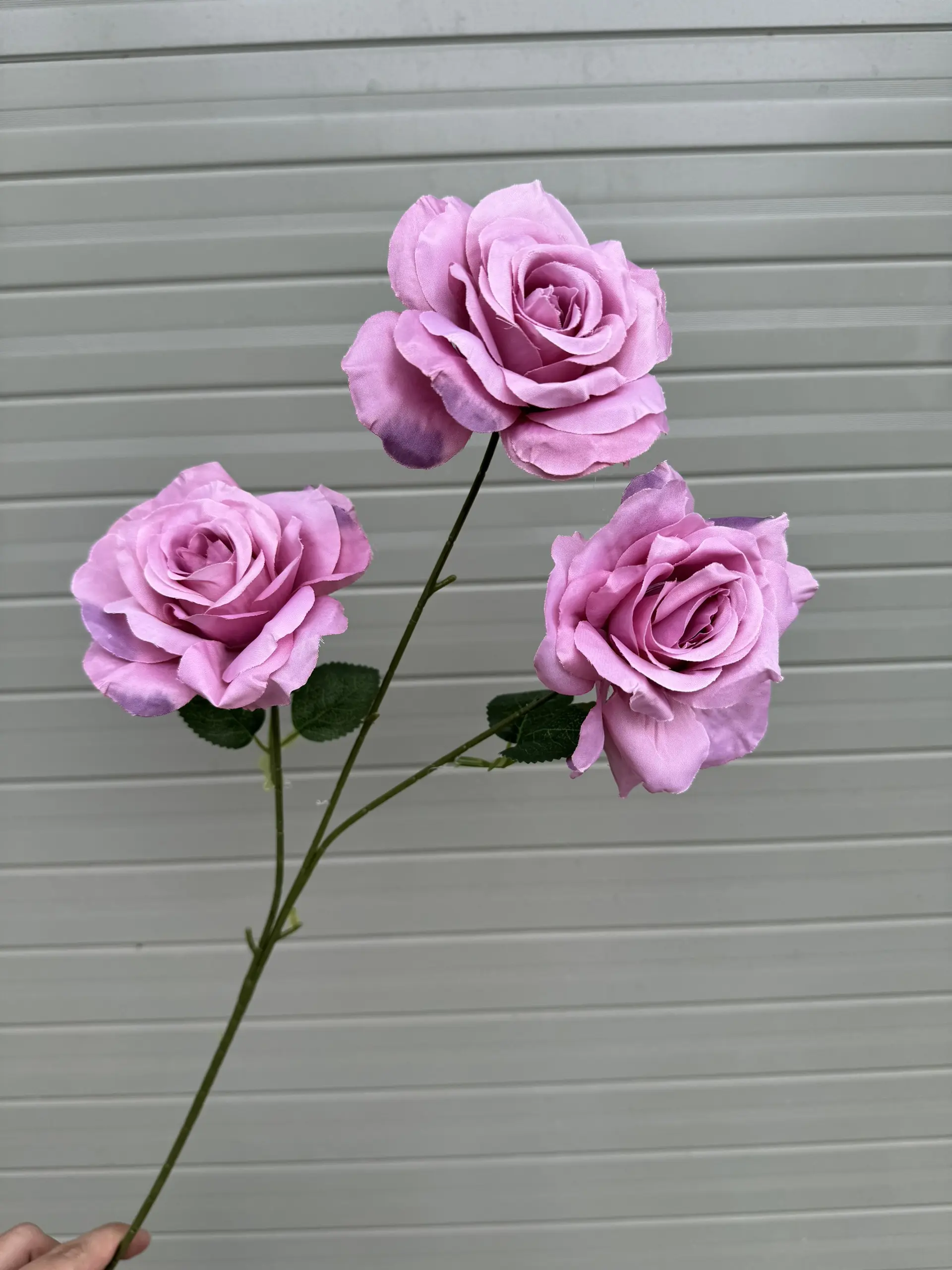 Hoa Hồng 3 Bông - Ảnh 11