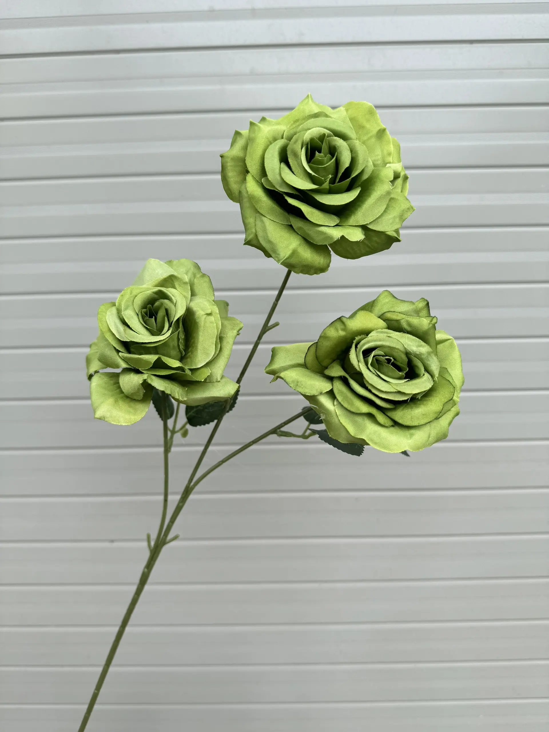 Hoa Hồng 3 Bông - Ảnh 12