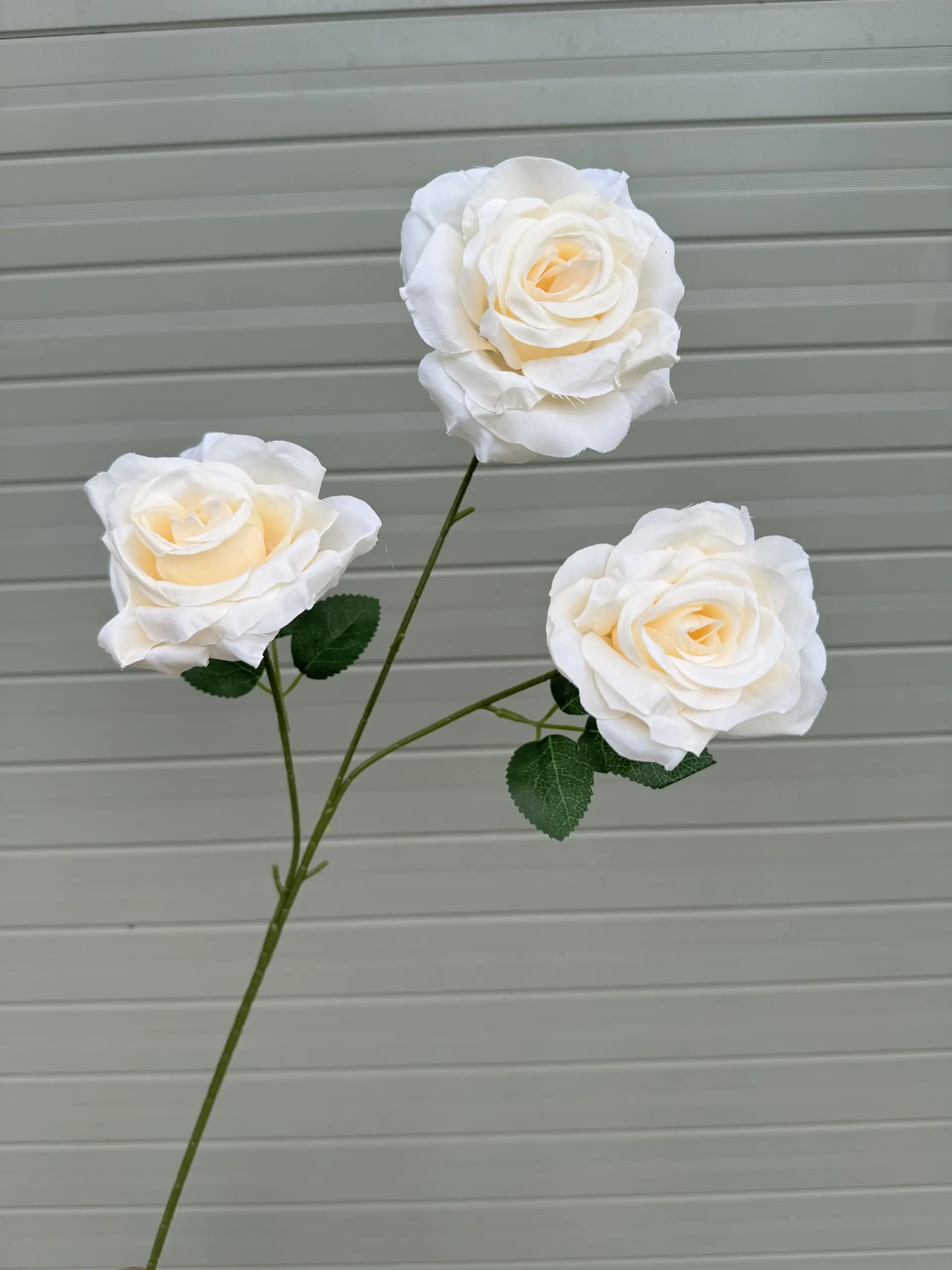 Hoa Hồng 3 Bông - Ảnh 13