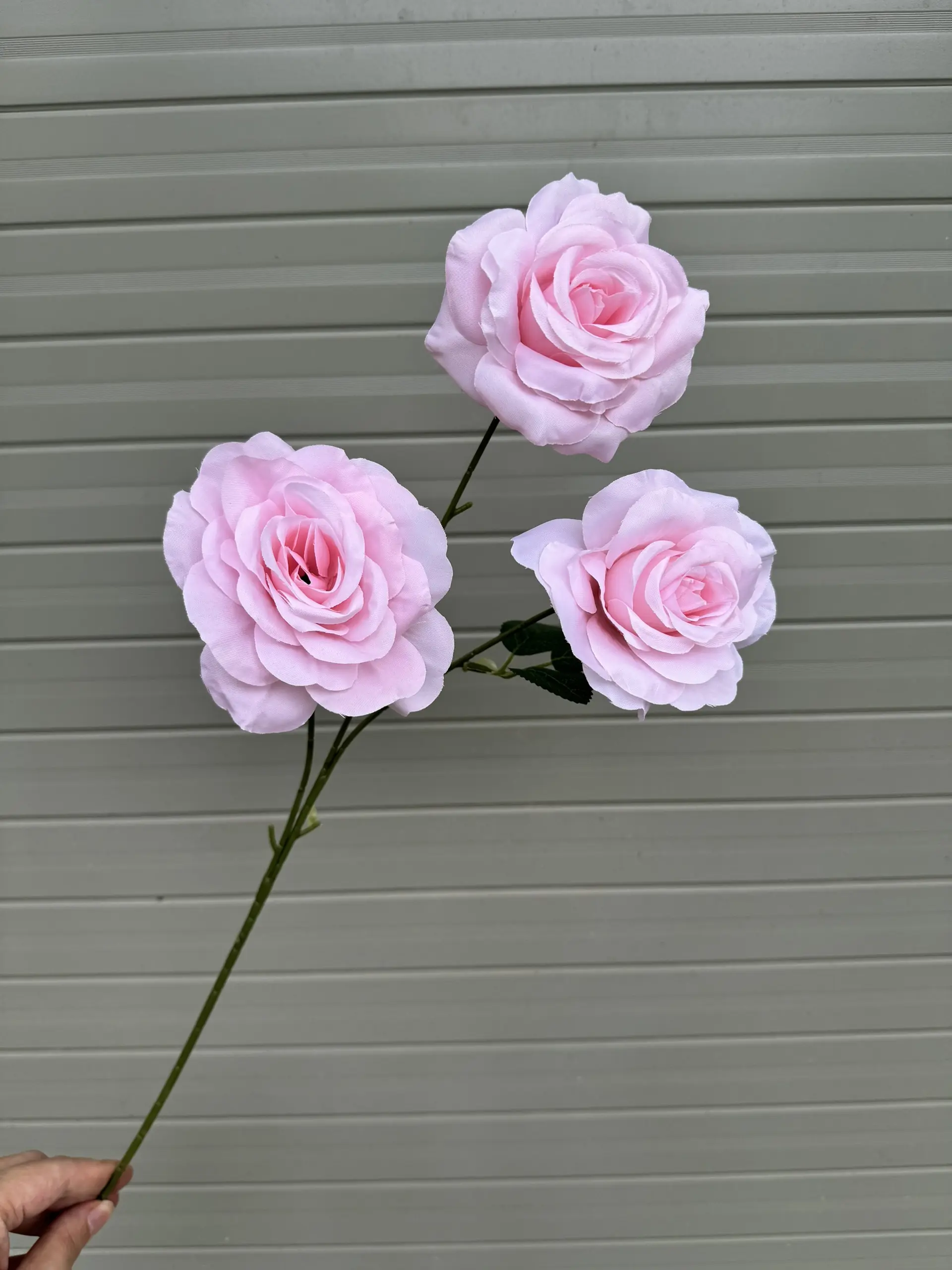 Hoa Hồng 3 Bông - Ảnh 14