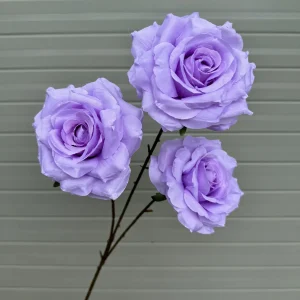 Hoa Hồng Gấm 3 Bông