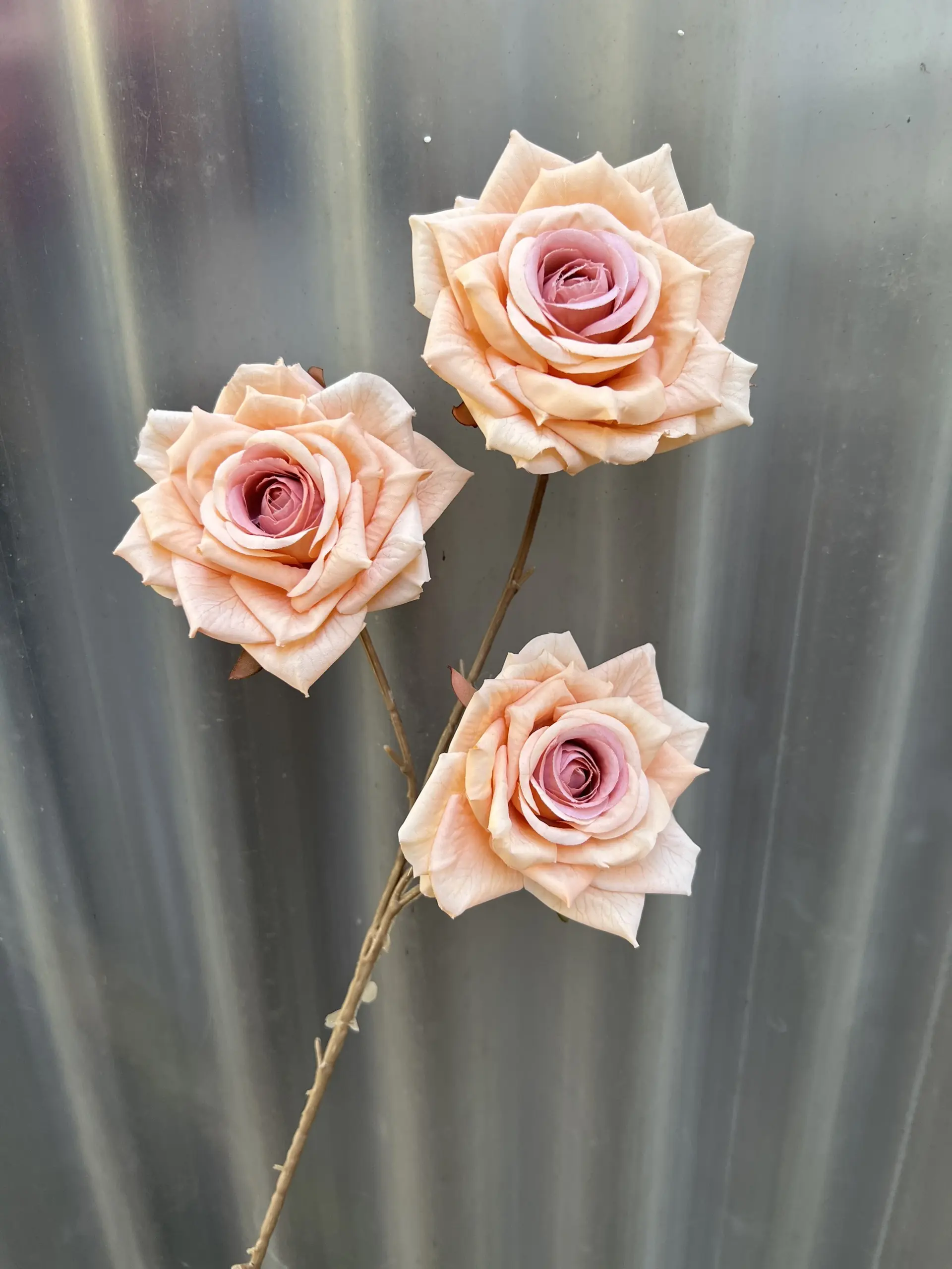 Hoa Hồng In 3 Bông - Ảnh 7