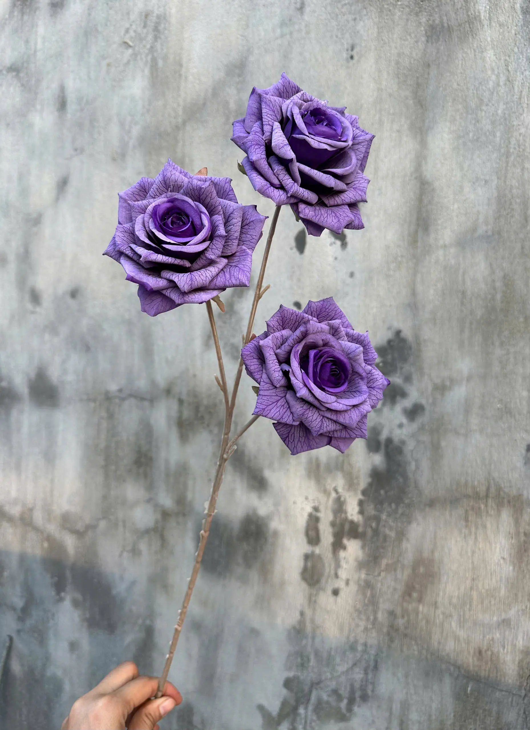 Hoa Hồng In Hàng Nhập 3 Bông - Ảnh 6