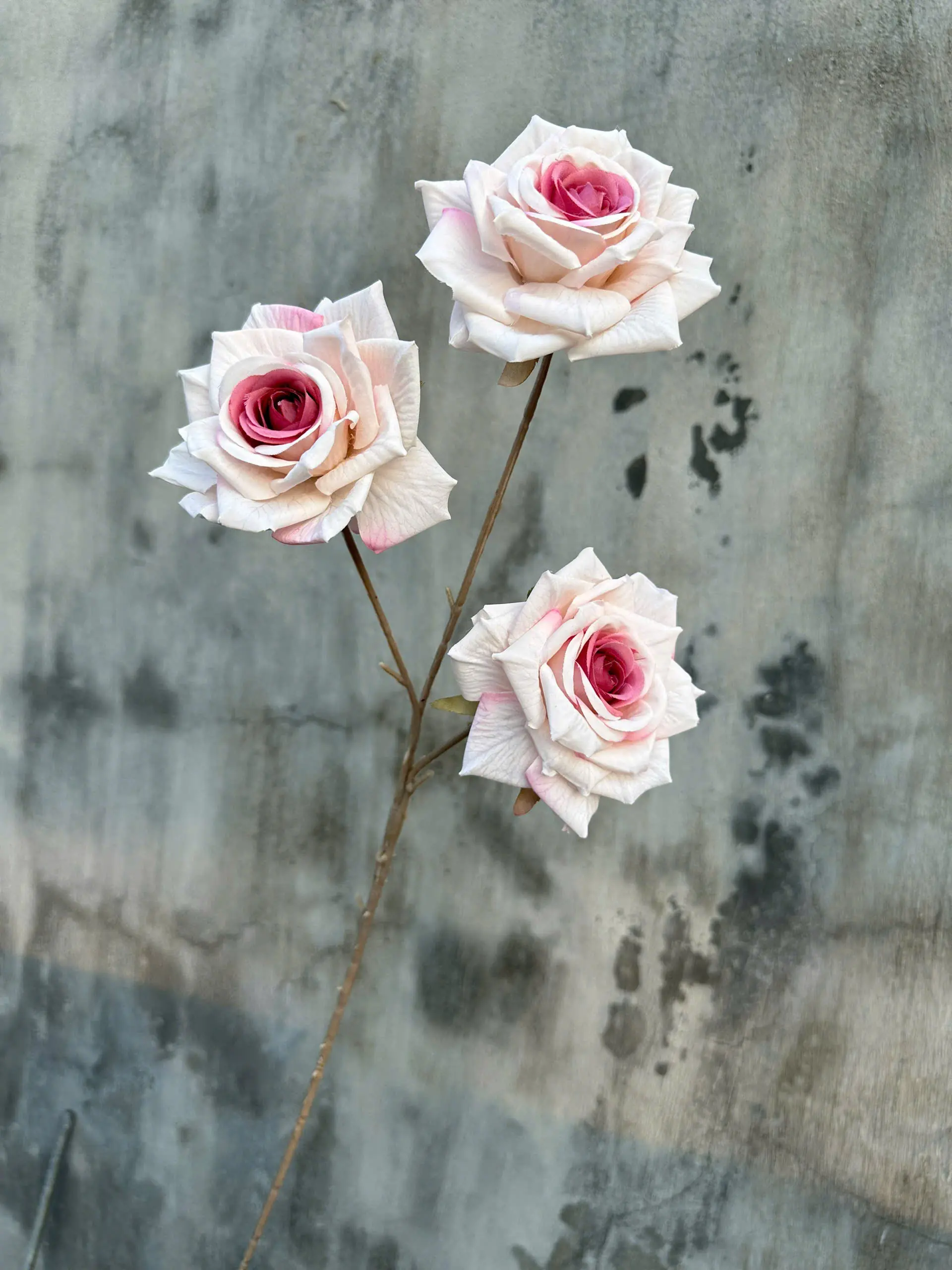 Hoa Hồng In Hàng Nhập 3 Bông - Ảnh 7