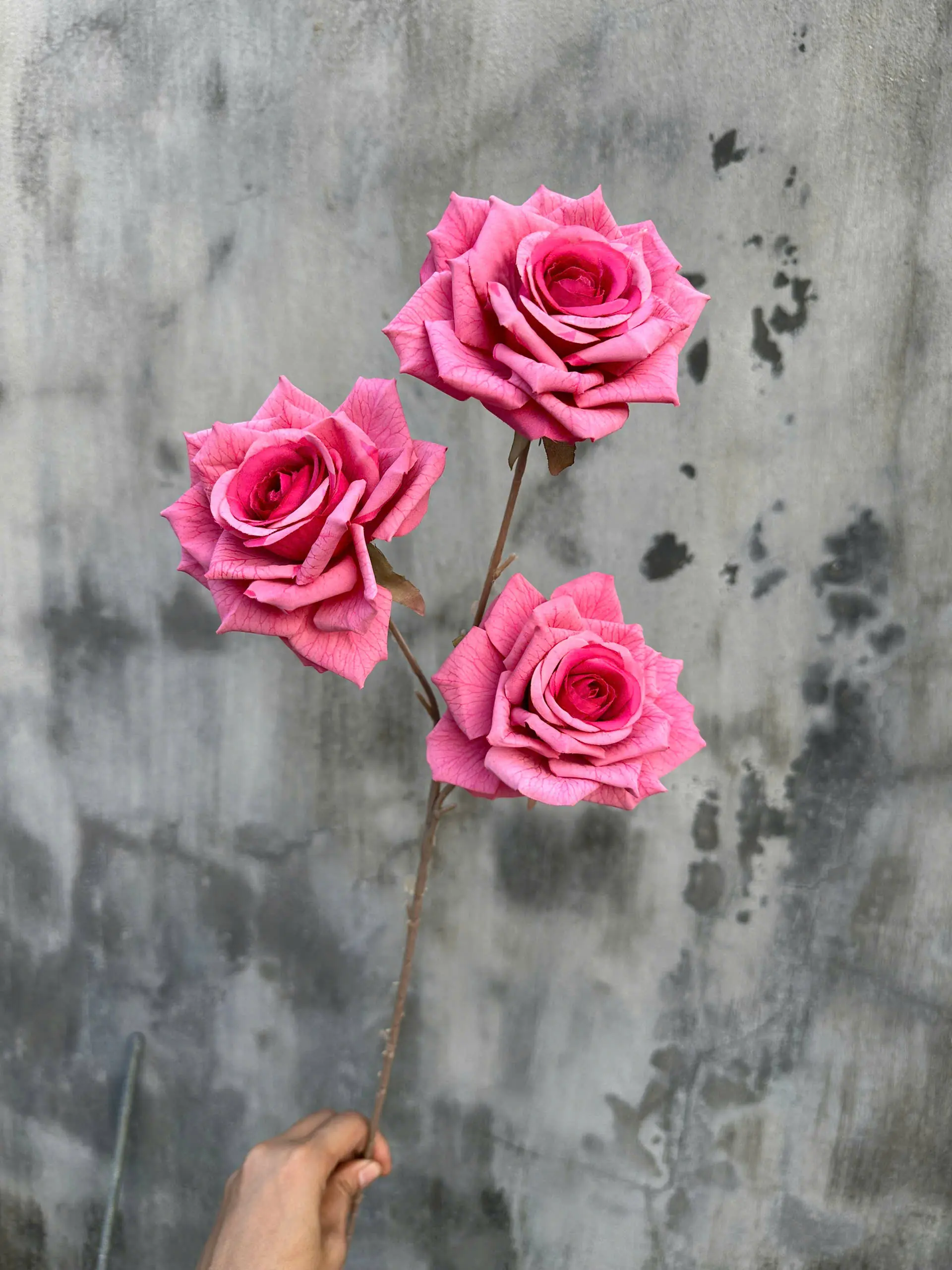 Hoa Hồng In Hàng Nhập 3 Bông - Ảnh 10