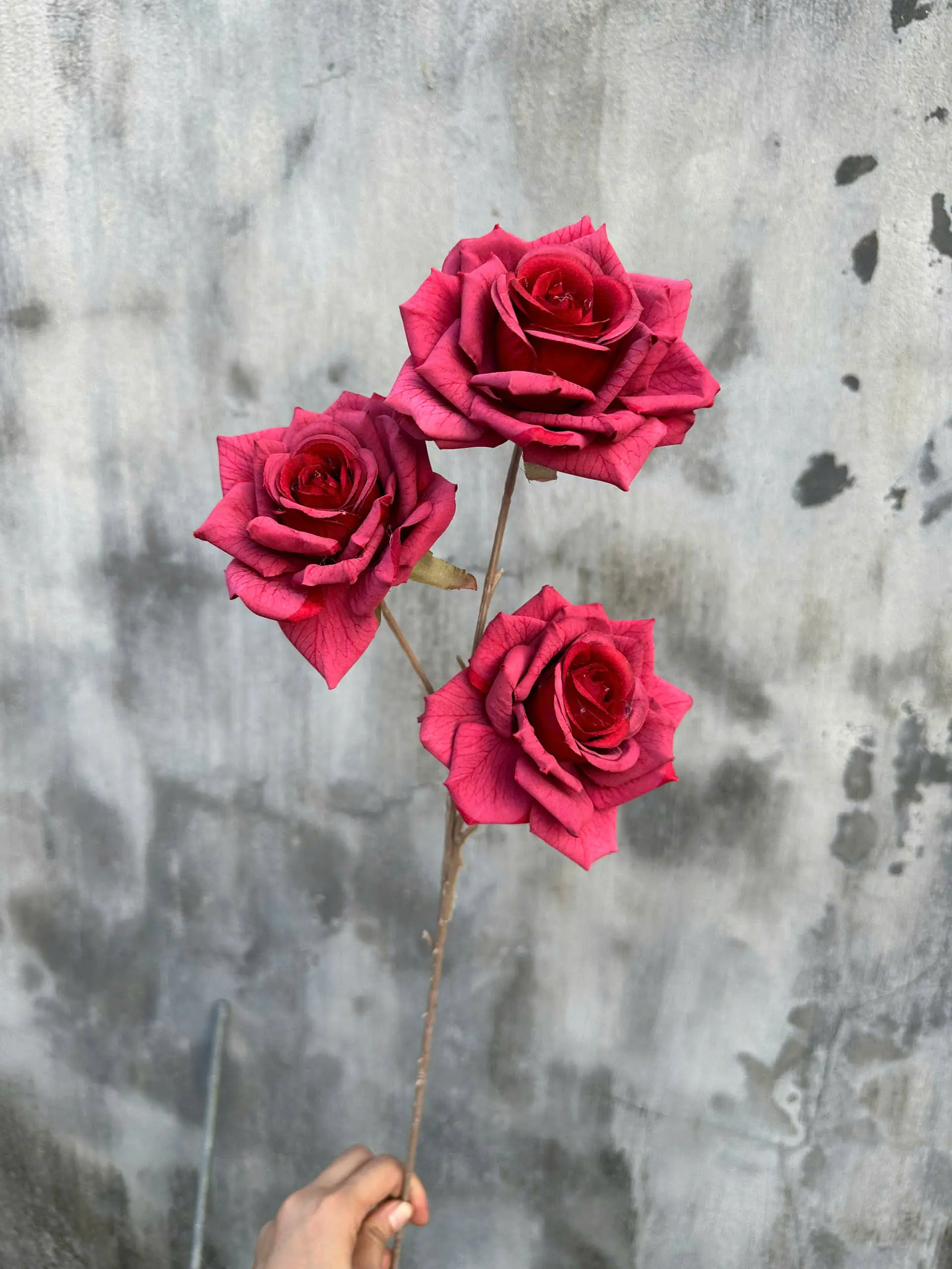 Hoa Hồng In Hàng Nhập 3 Bông - Ảnh 11