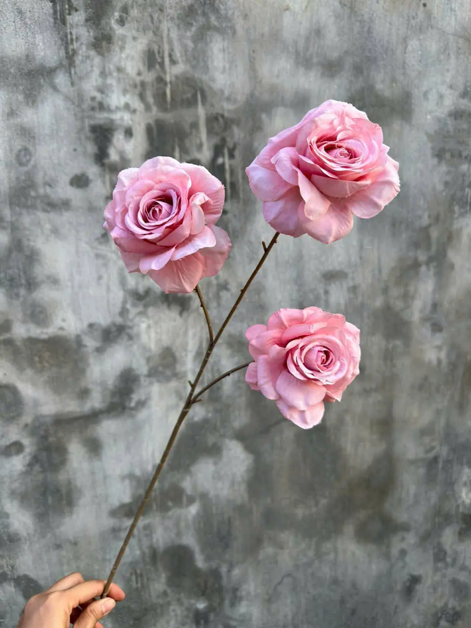 Hoa Hồng Khô Về Thêm 3 Bông