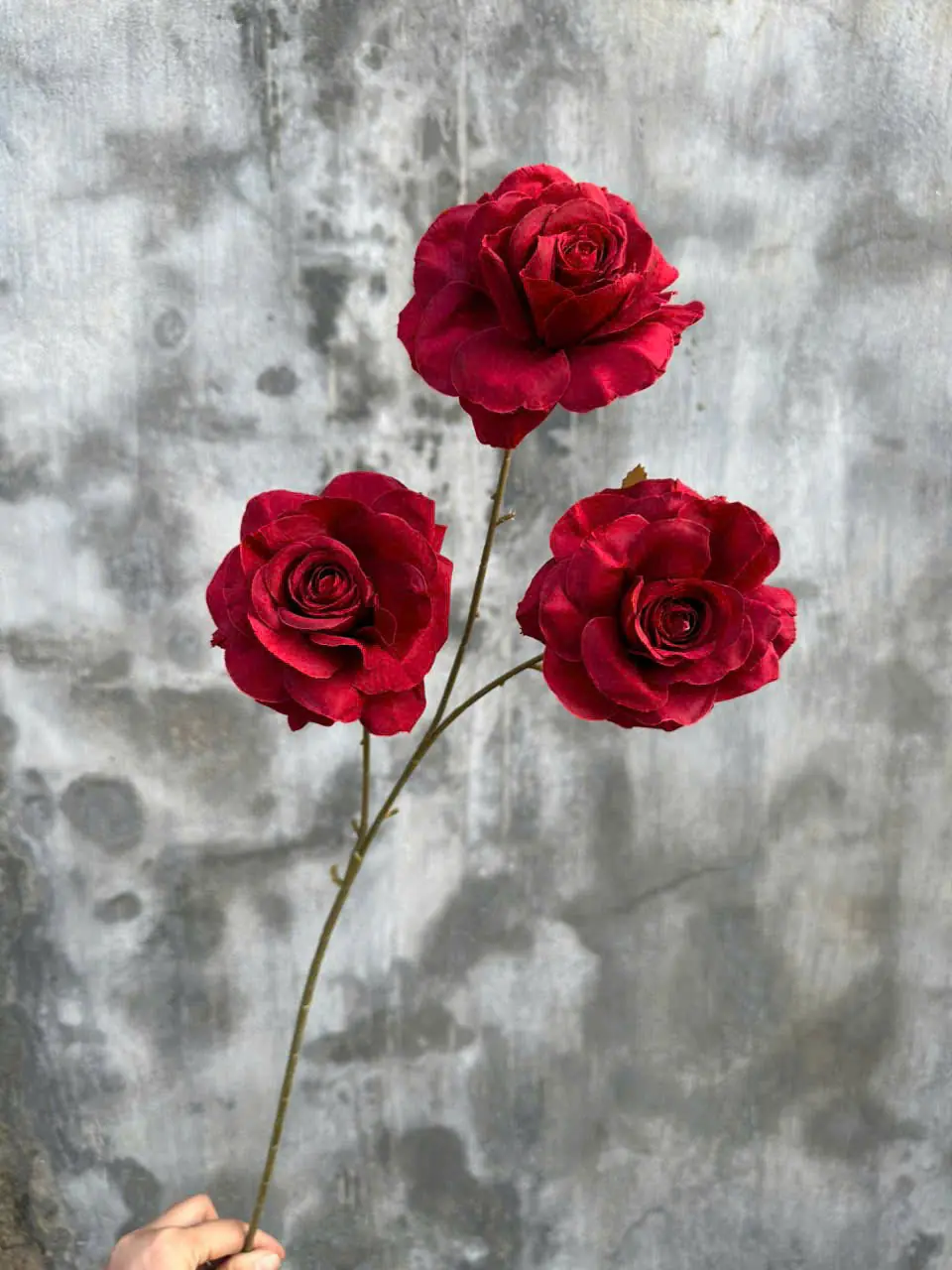 Hoa Hồng Khô Về Thêm 3 Bông - Ảnh 3