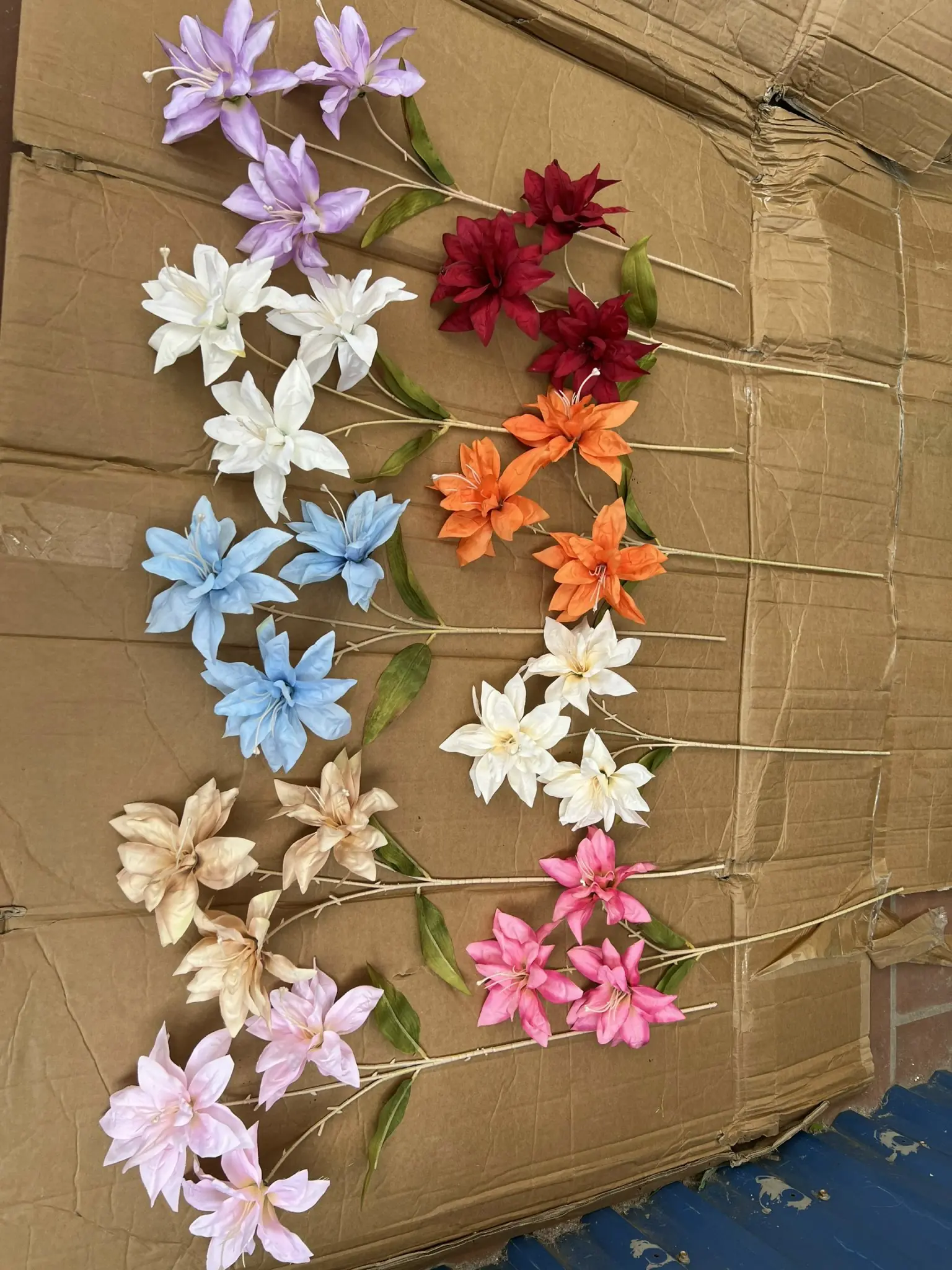 Hoa Huệ Tây - Ảnh 6